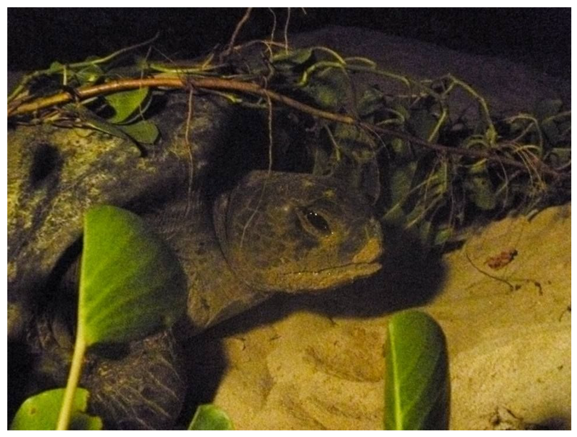 Diversity 15 00921 g023