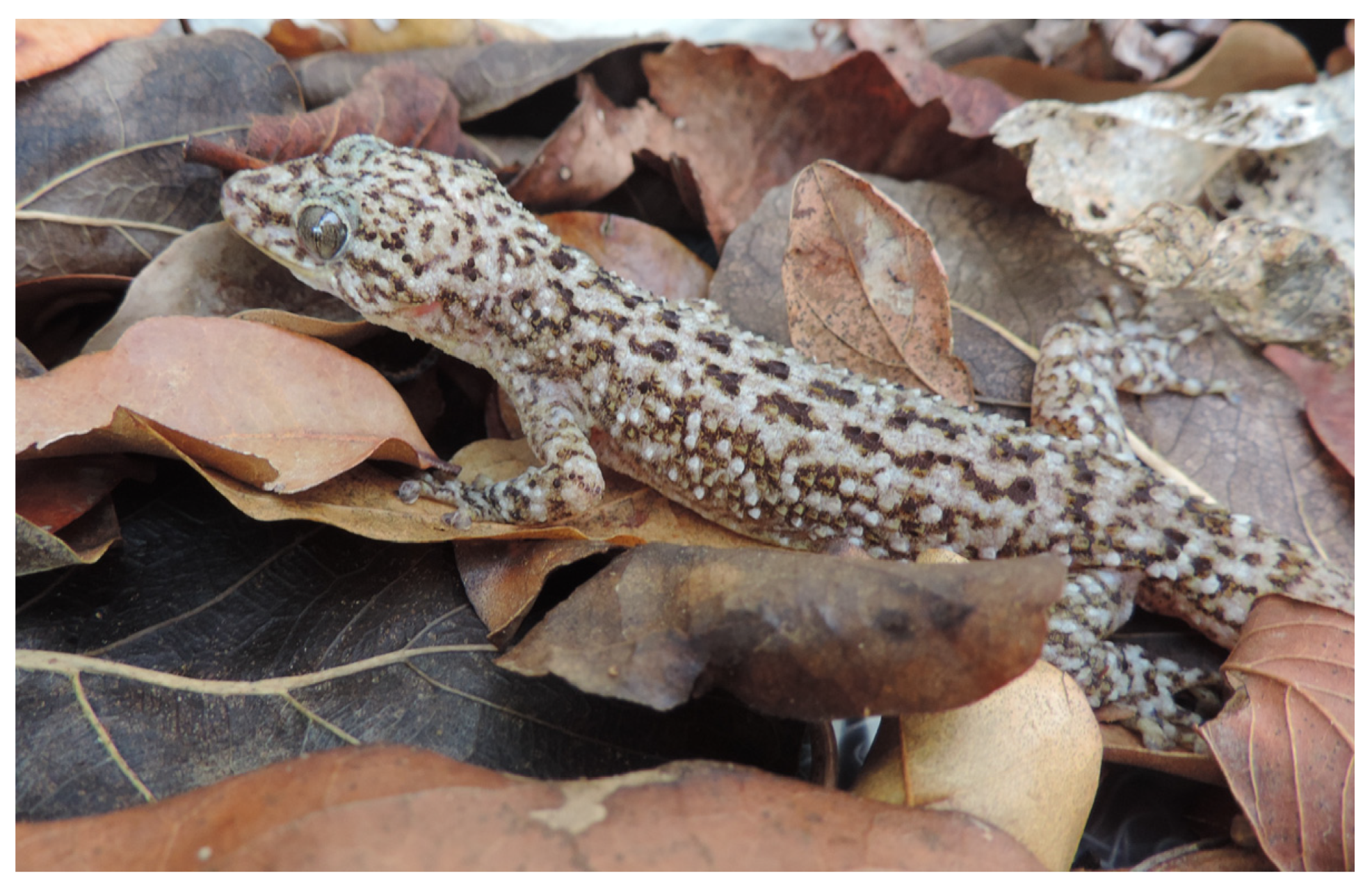 Diversity 15 00921 g025