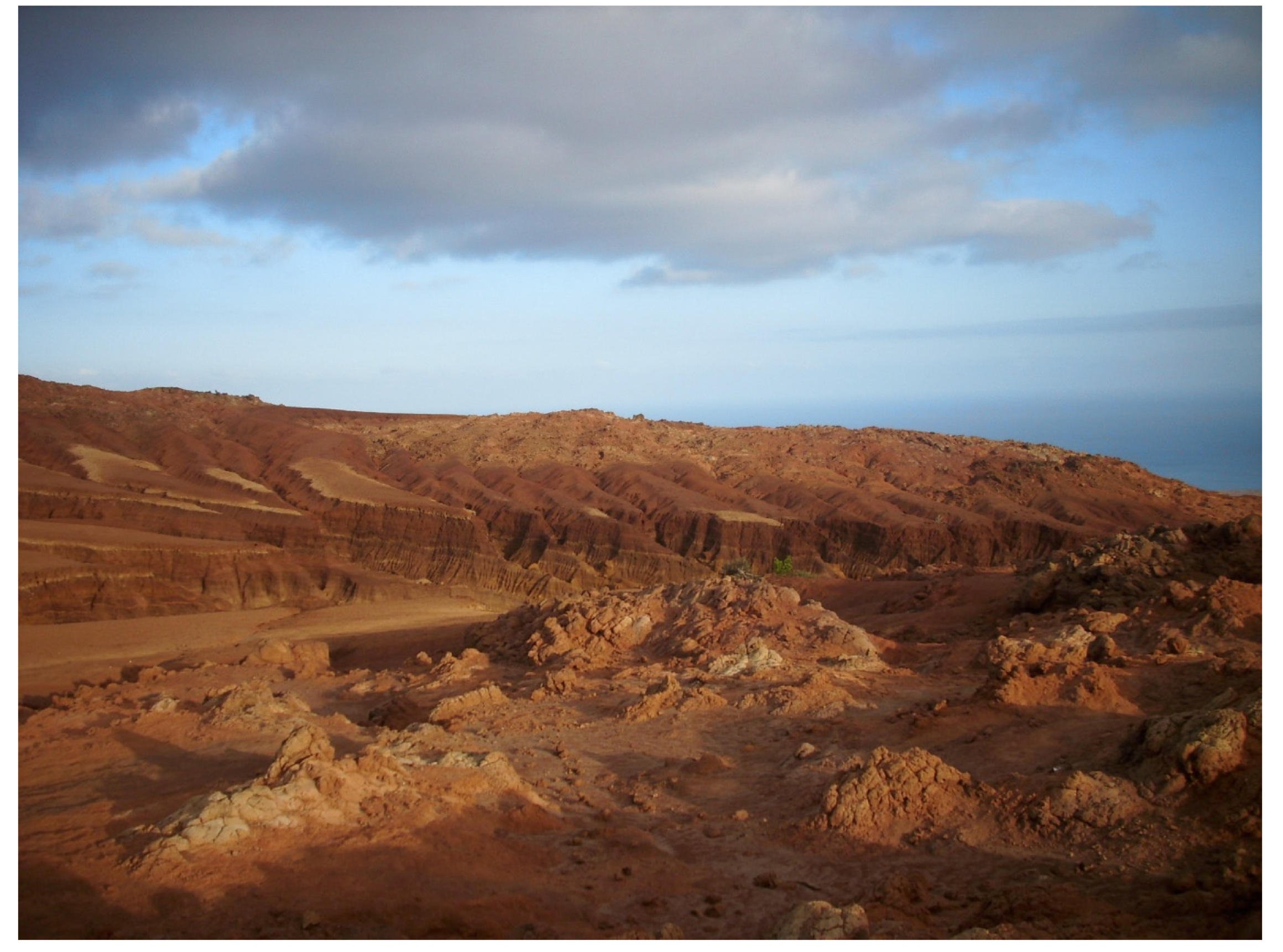 Diversity 15 00921 g028