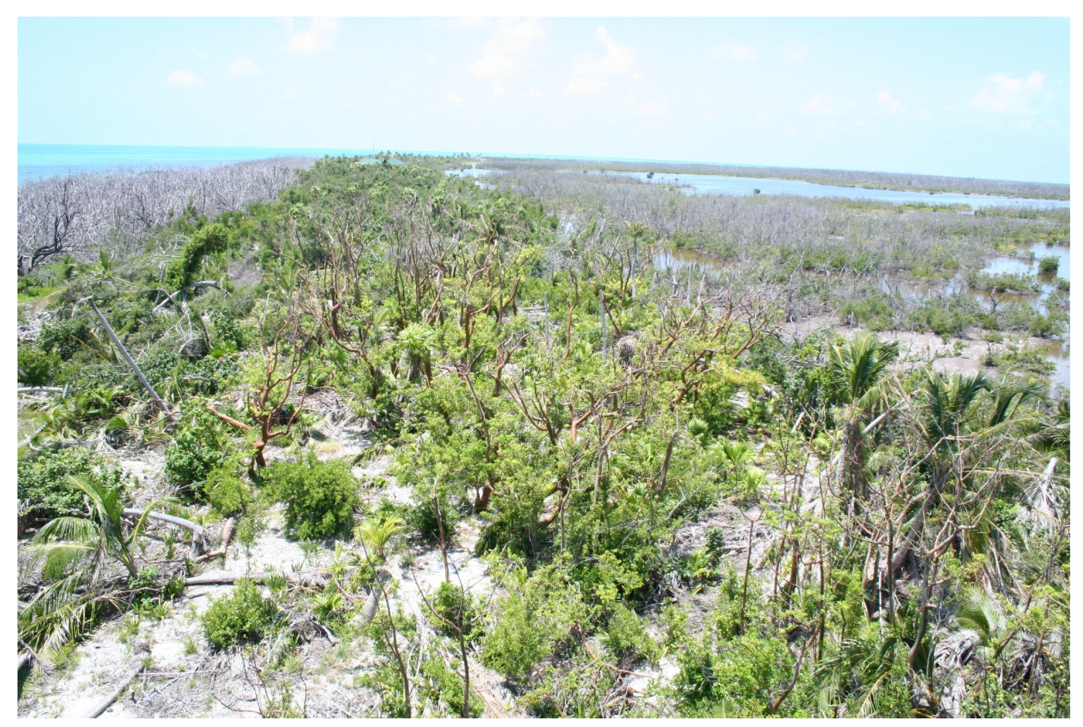 Diversity 15 00921 g029