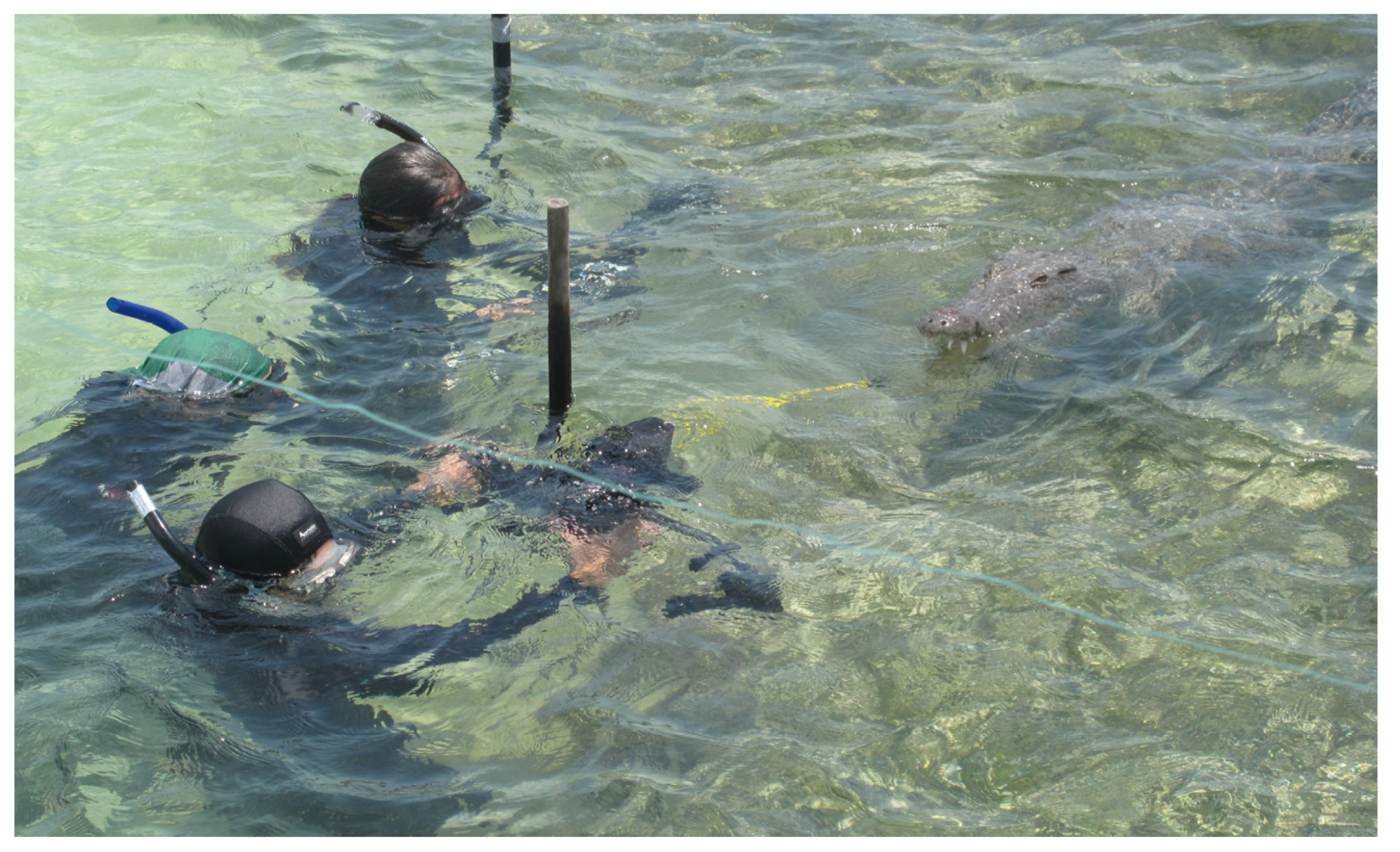 Diversity 15 00921 g031