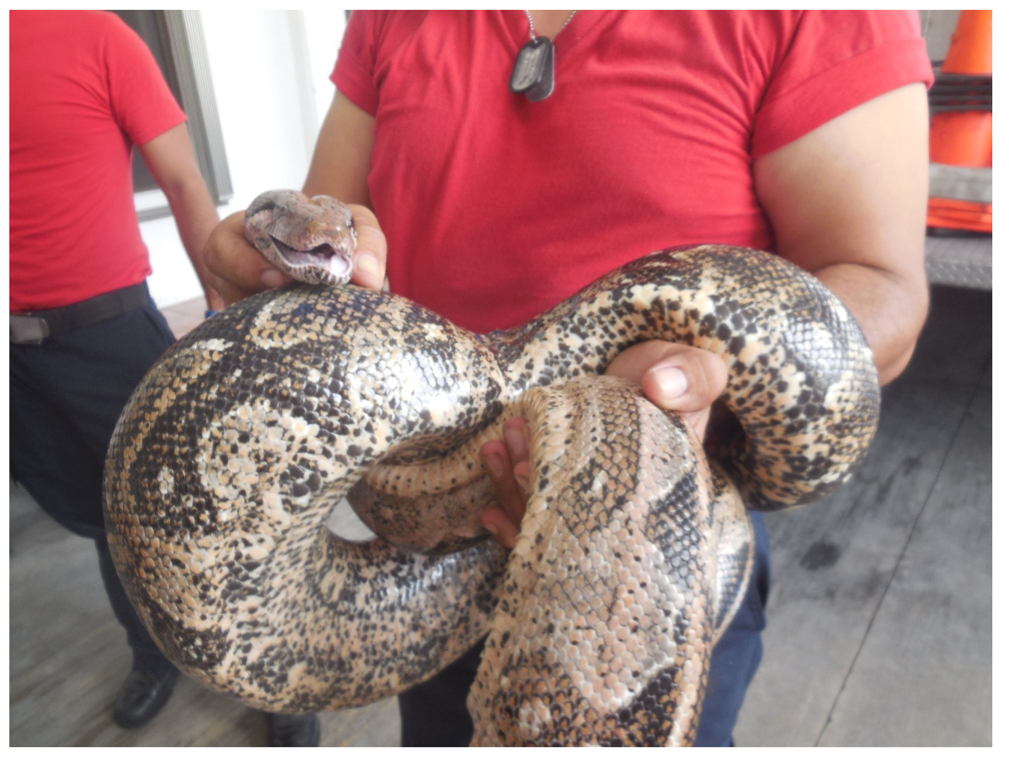 Diversity 15 00921 g033