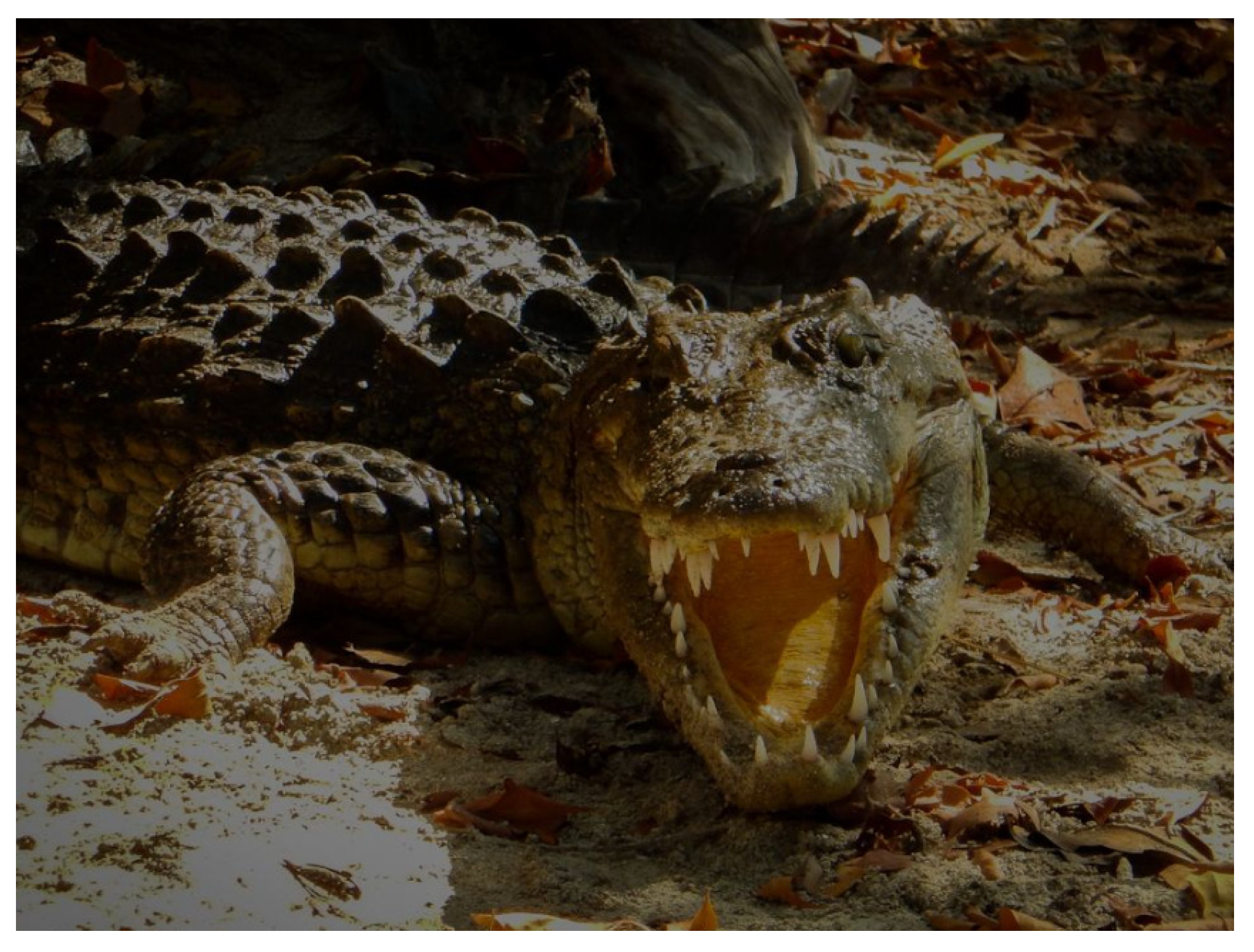 Diversity 15 00921 g034