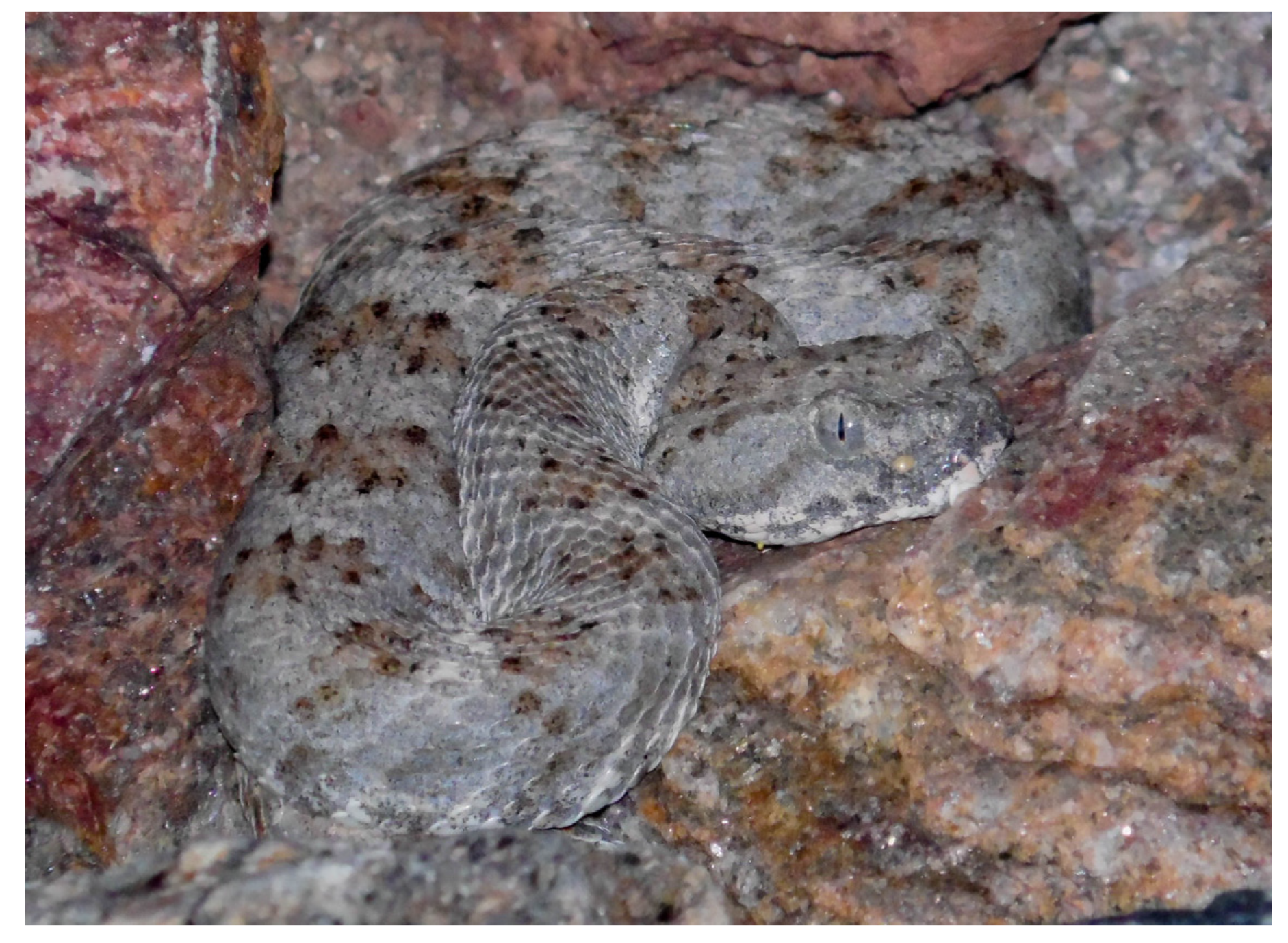 Diversity 15 00921 g039