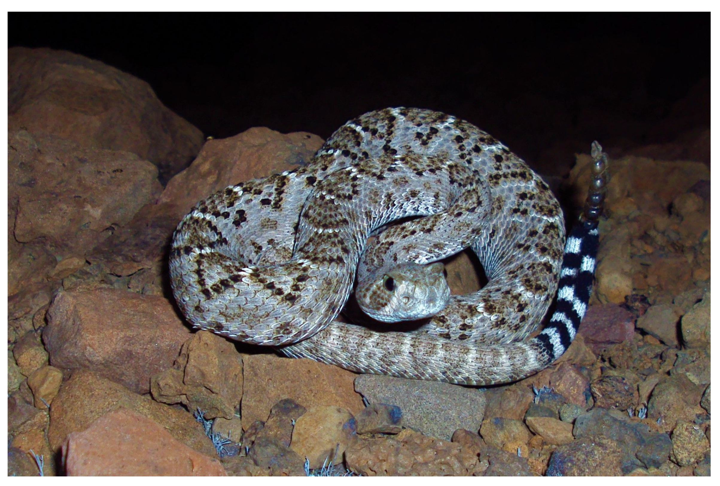 Diversity 15 00921 g042