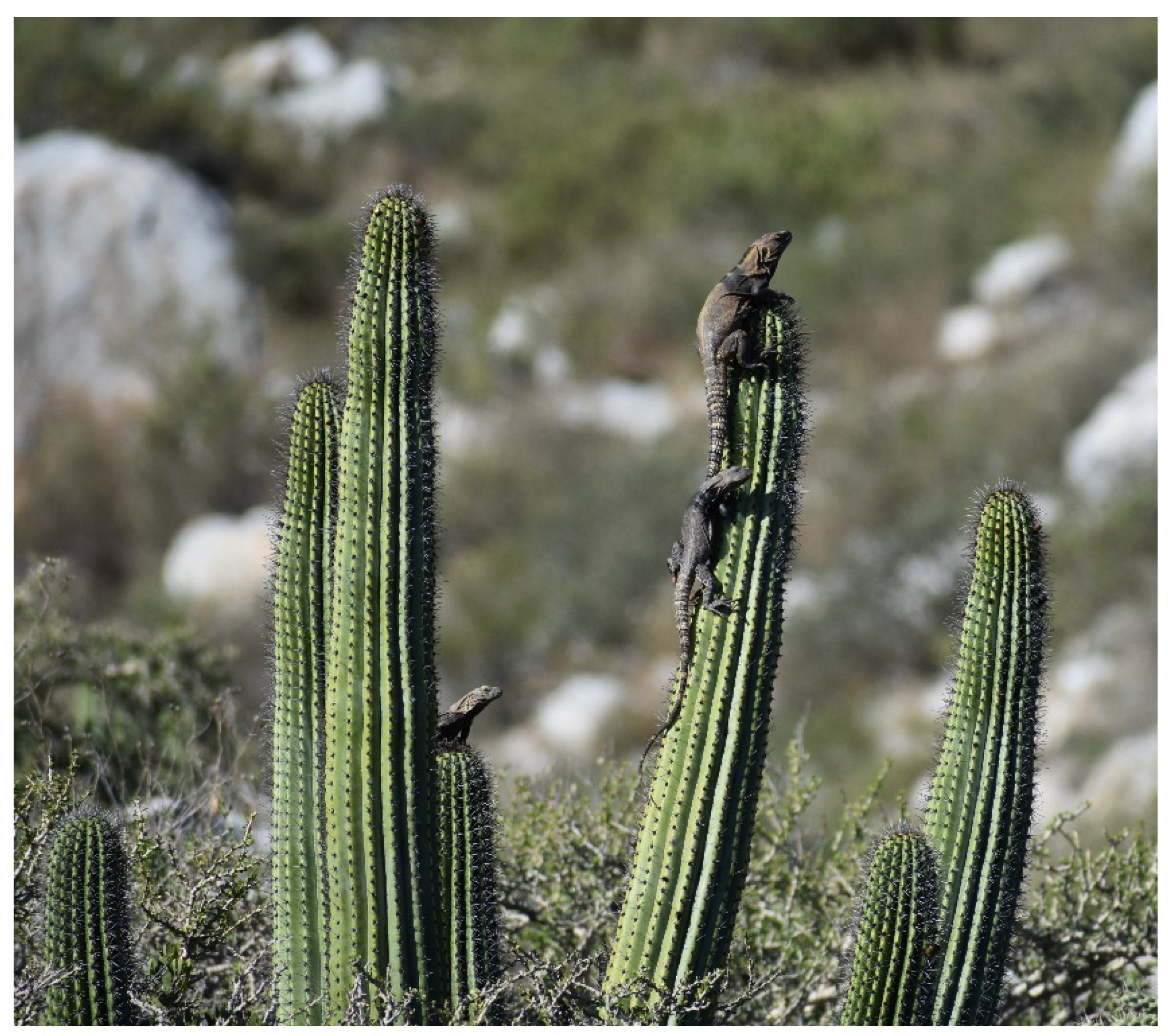 Diversity 15 00921 g045