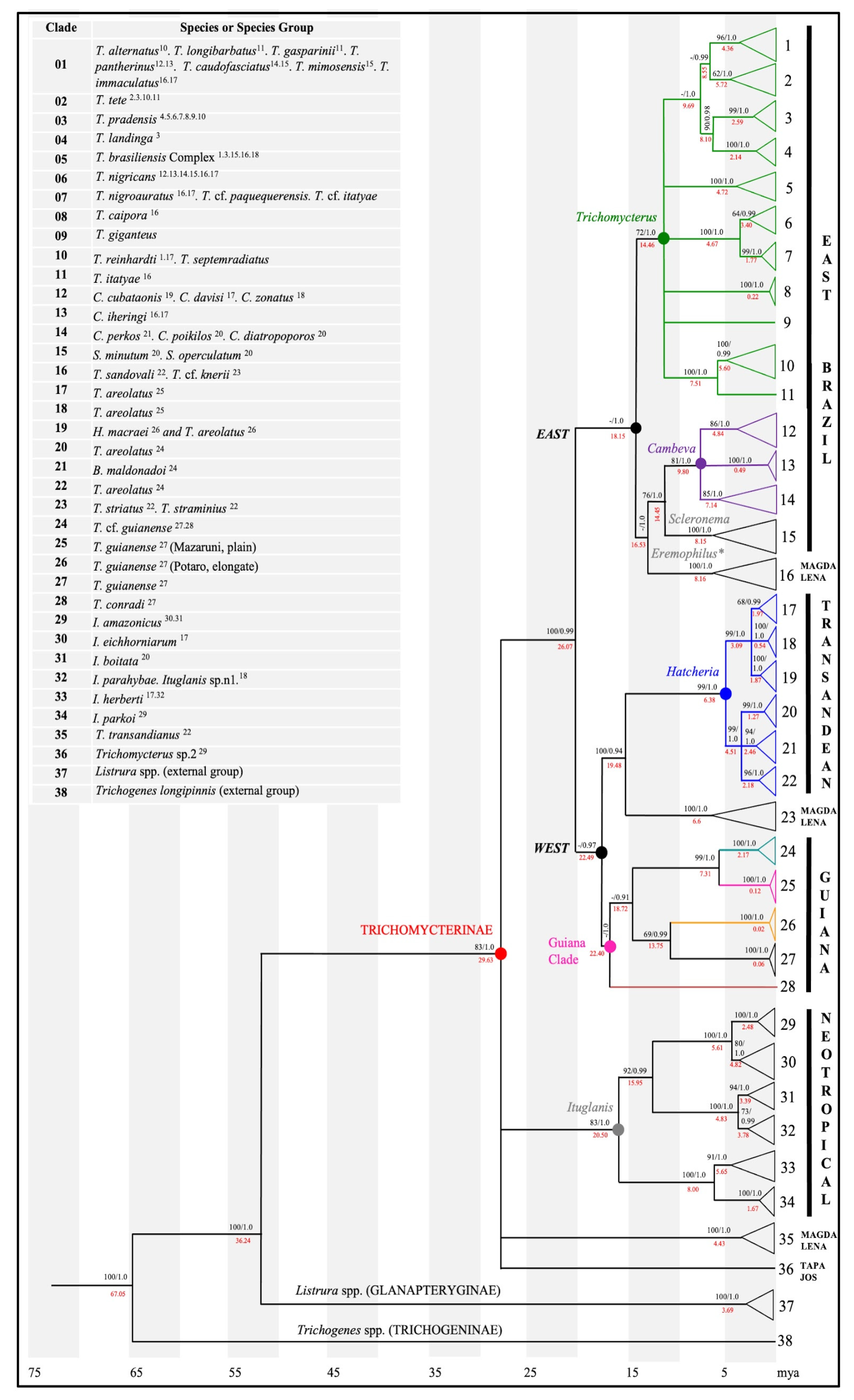 Diversity 15 00929 g002