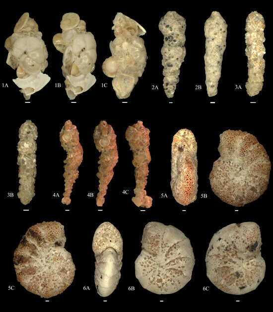 Diversity 15 00937 g0a1