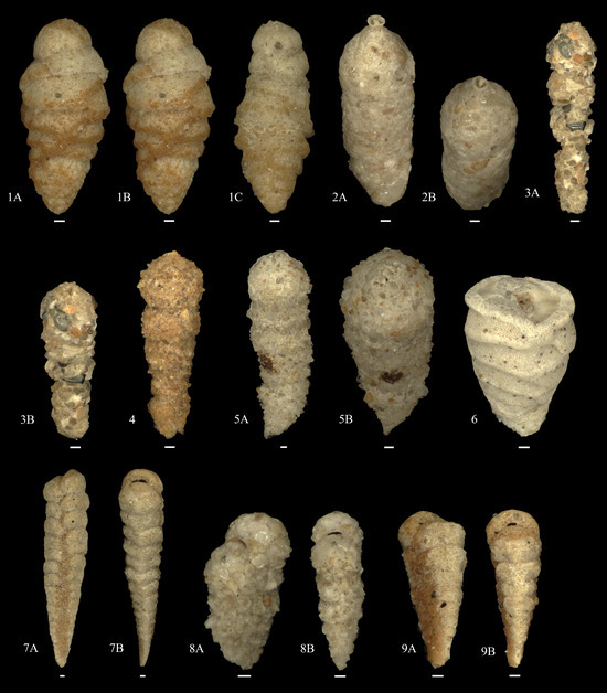 Diversity 15 00937 g0a2