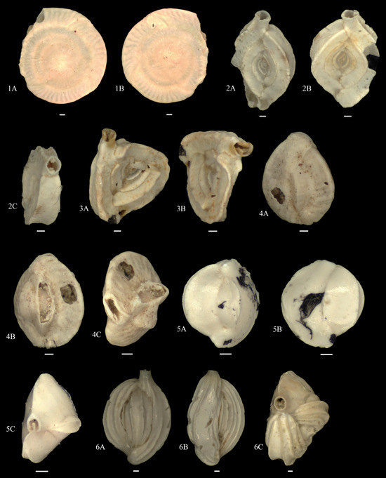 Diversity 15 00937 g0a3