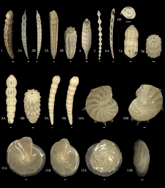 Diversity 15 00937 g0a6