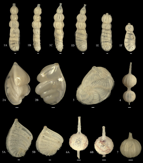 Diversity 15 00937 g0a7