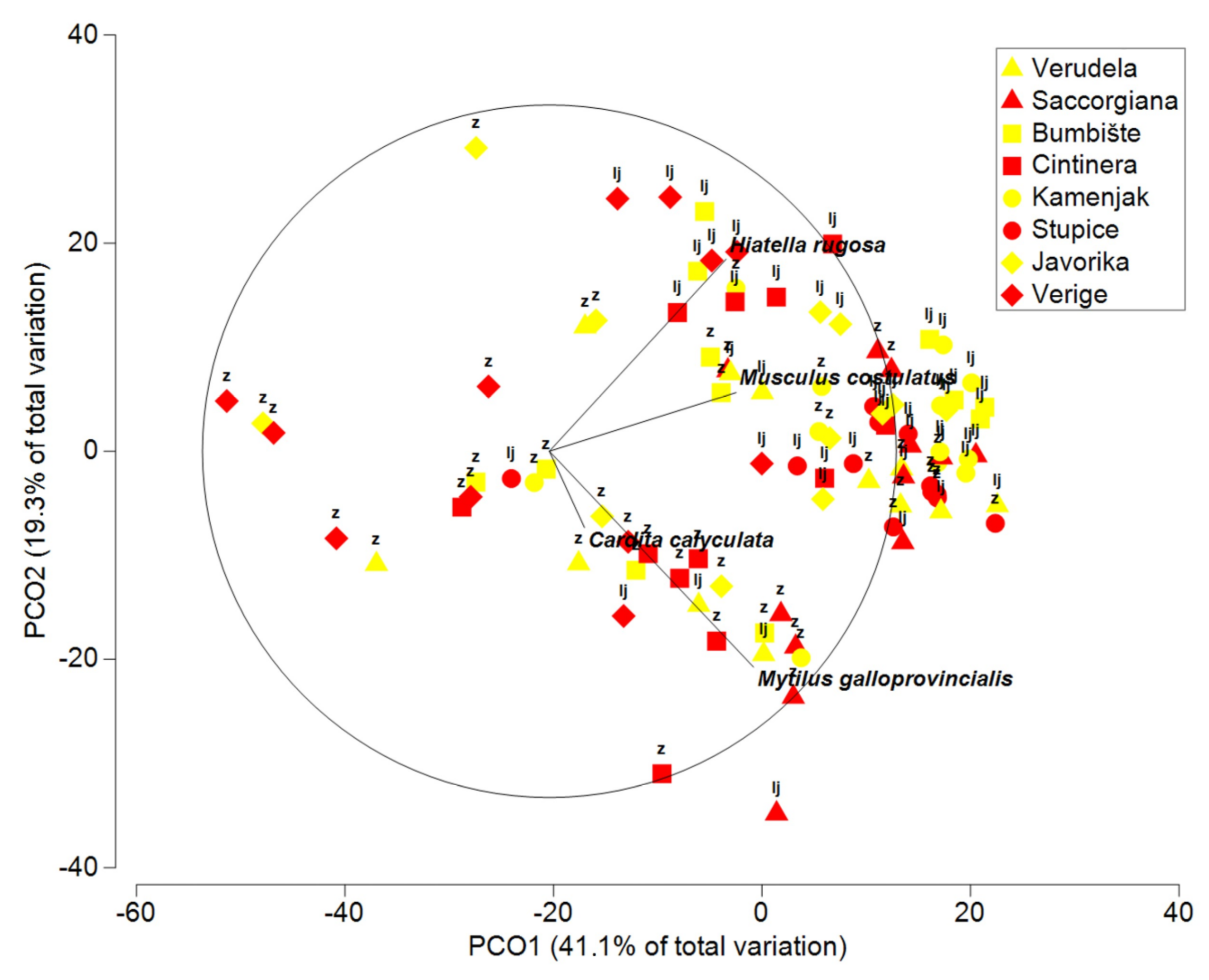Diversity 15 00939 g004