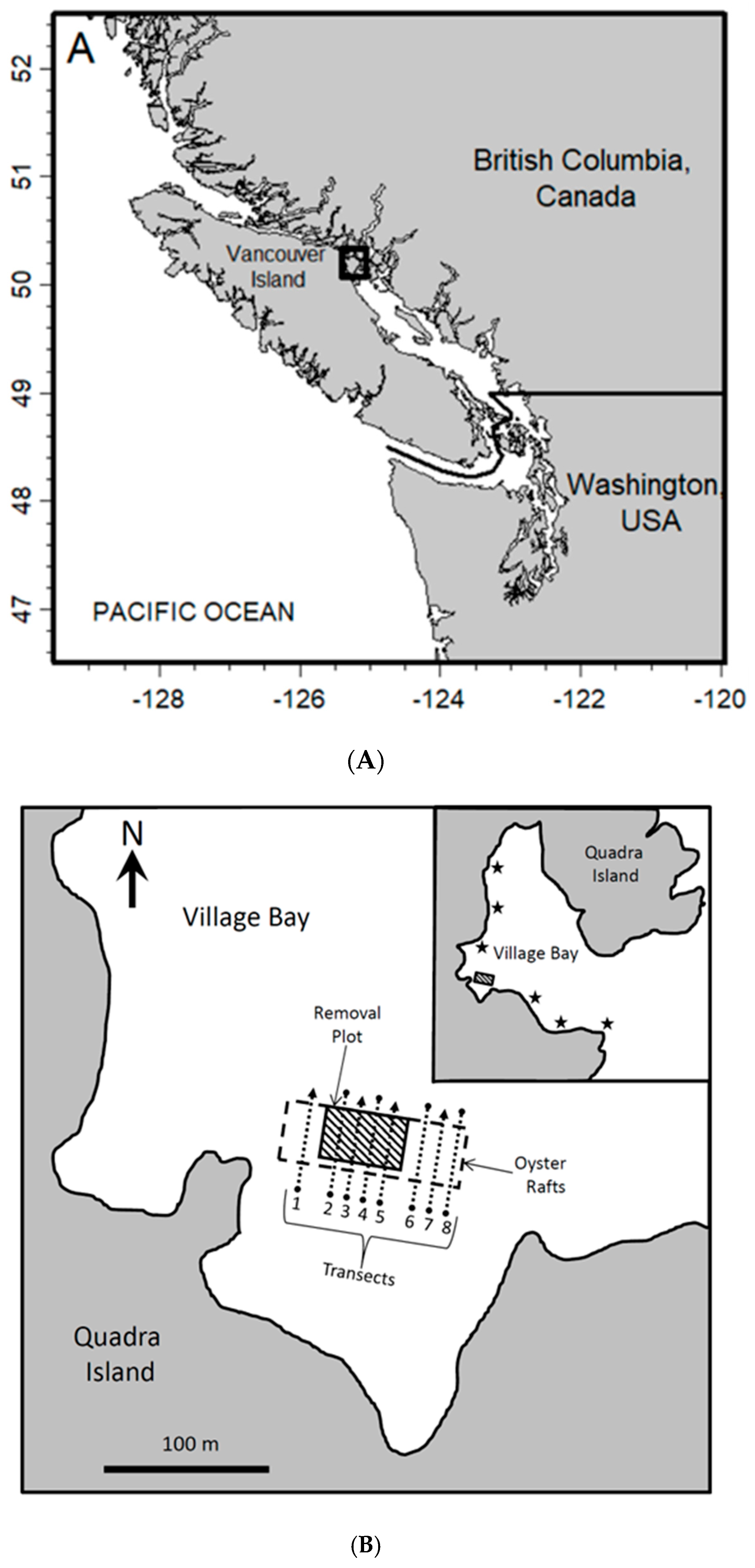 Diversity 15 00940 g001