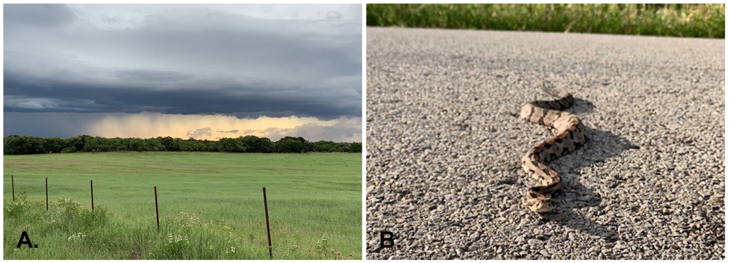 Diversity 15 00952 g002 Diversity 15 00952 g002