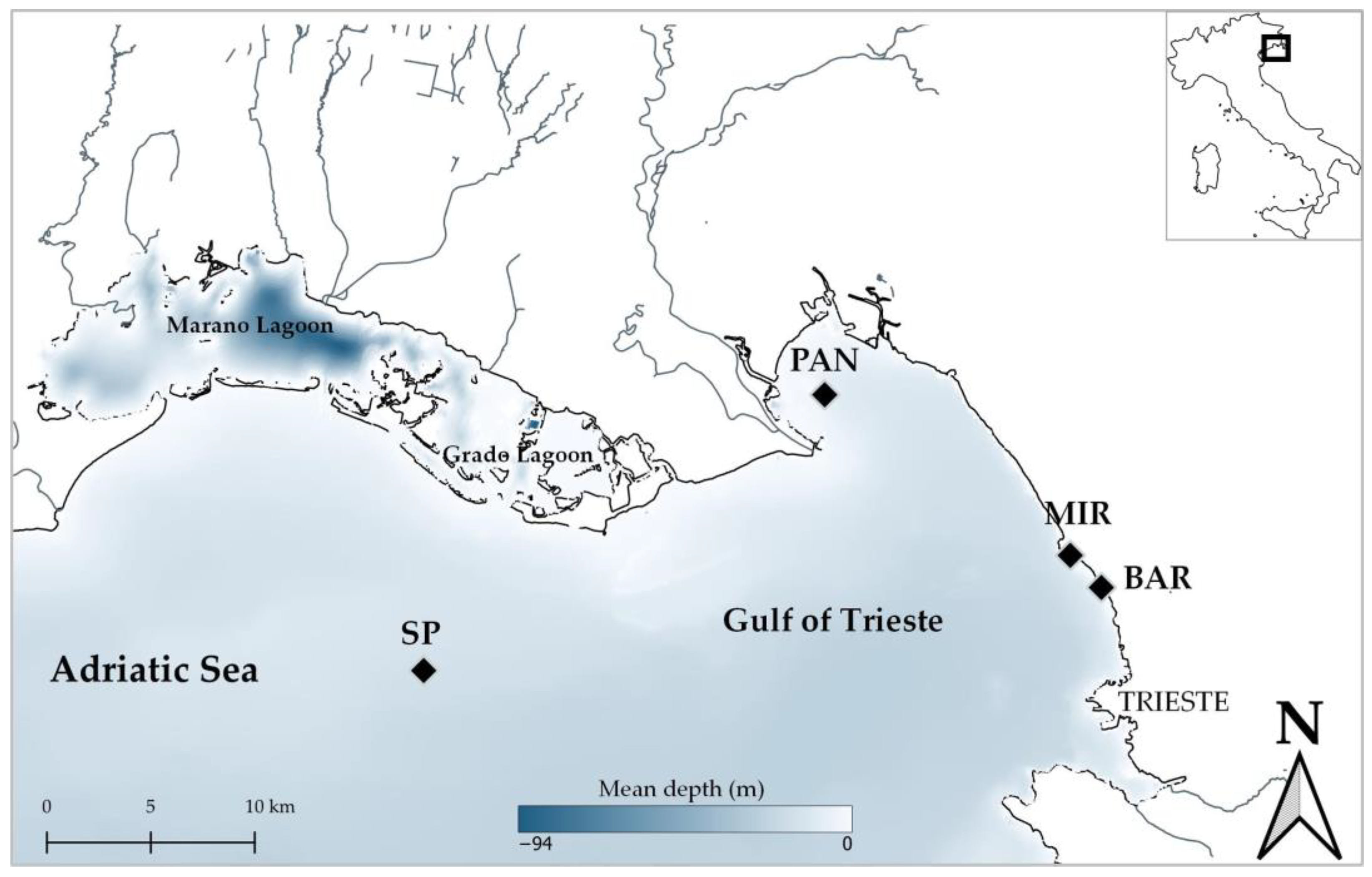 Diversity 15 00956 g001 Diversity 15 00956 g001