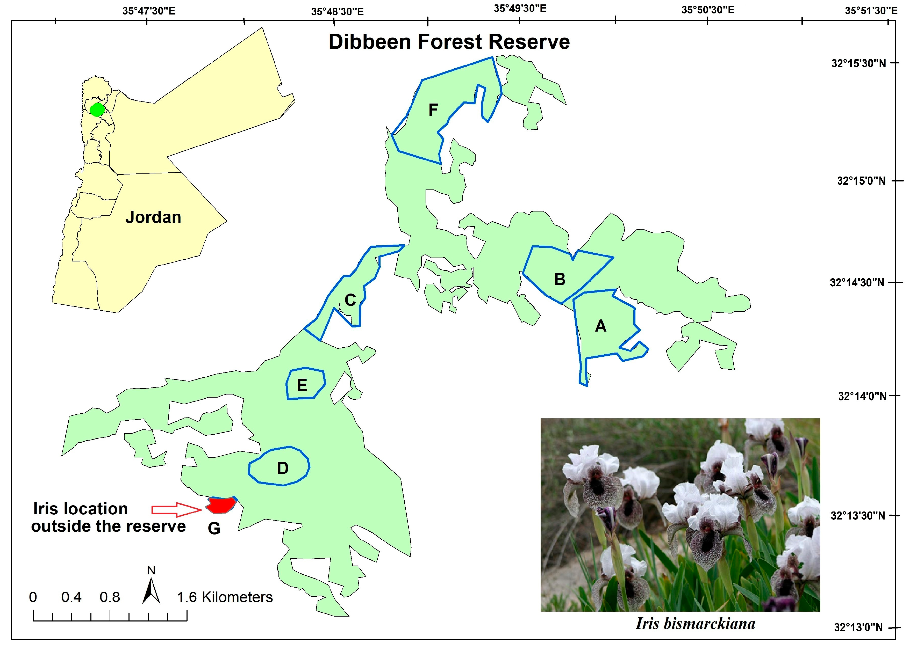 Diversity 15 00957 g001