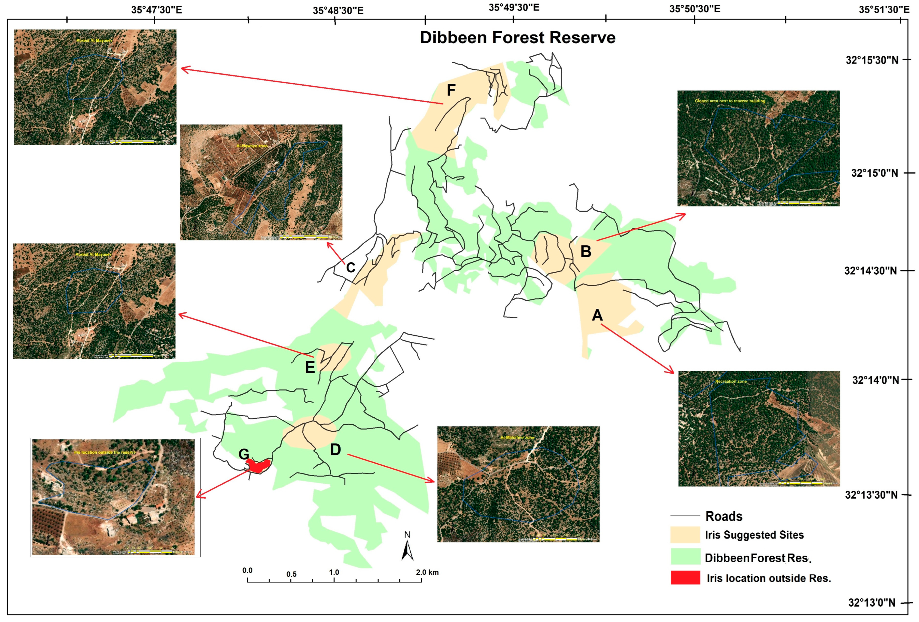 Diversity 15 00957 g003