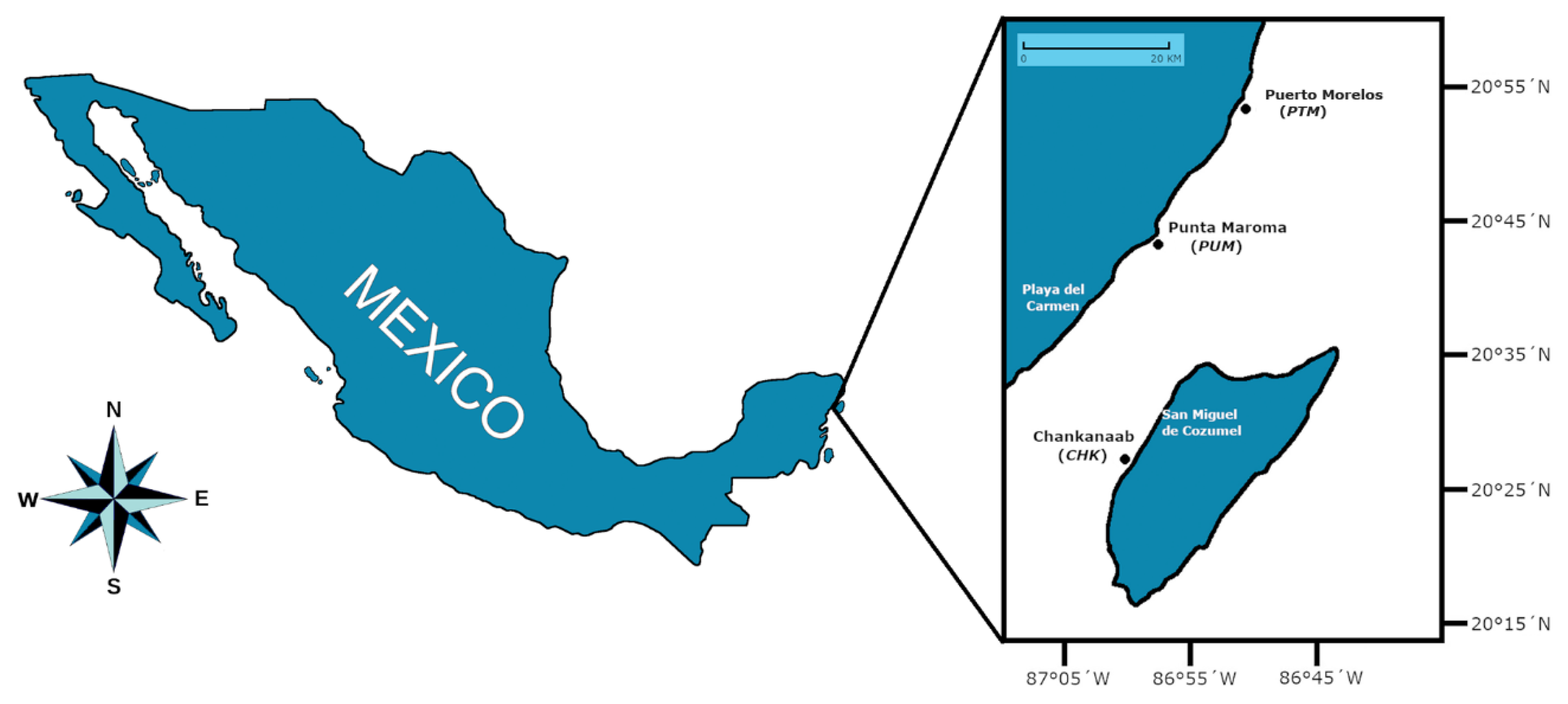 Diversity 15 00964 g001