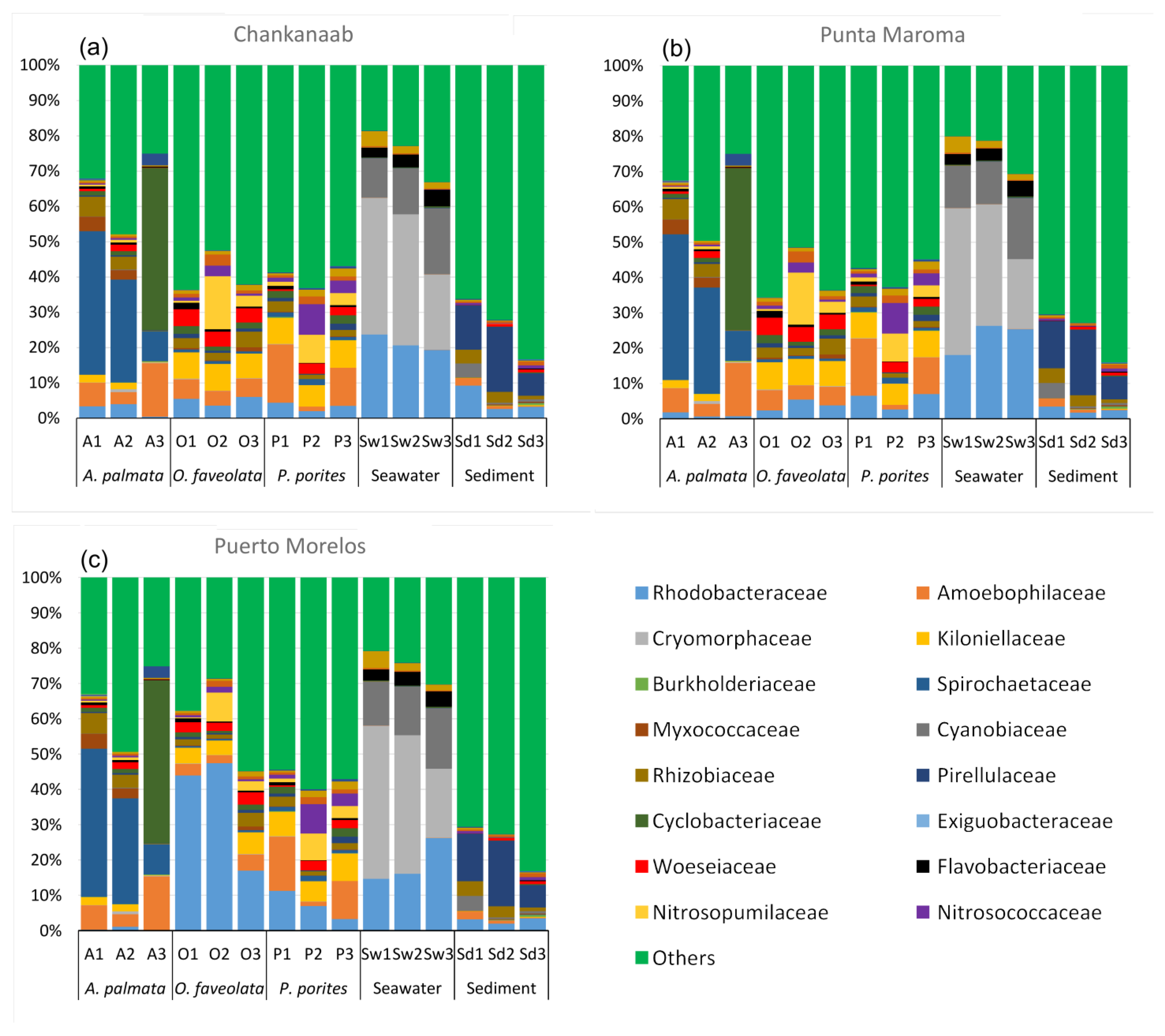 Diversity 15 00964 g003
