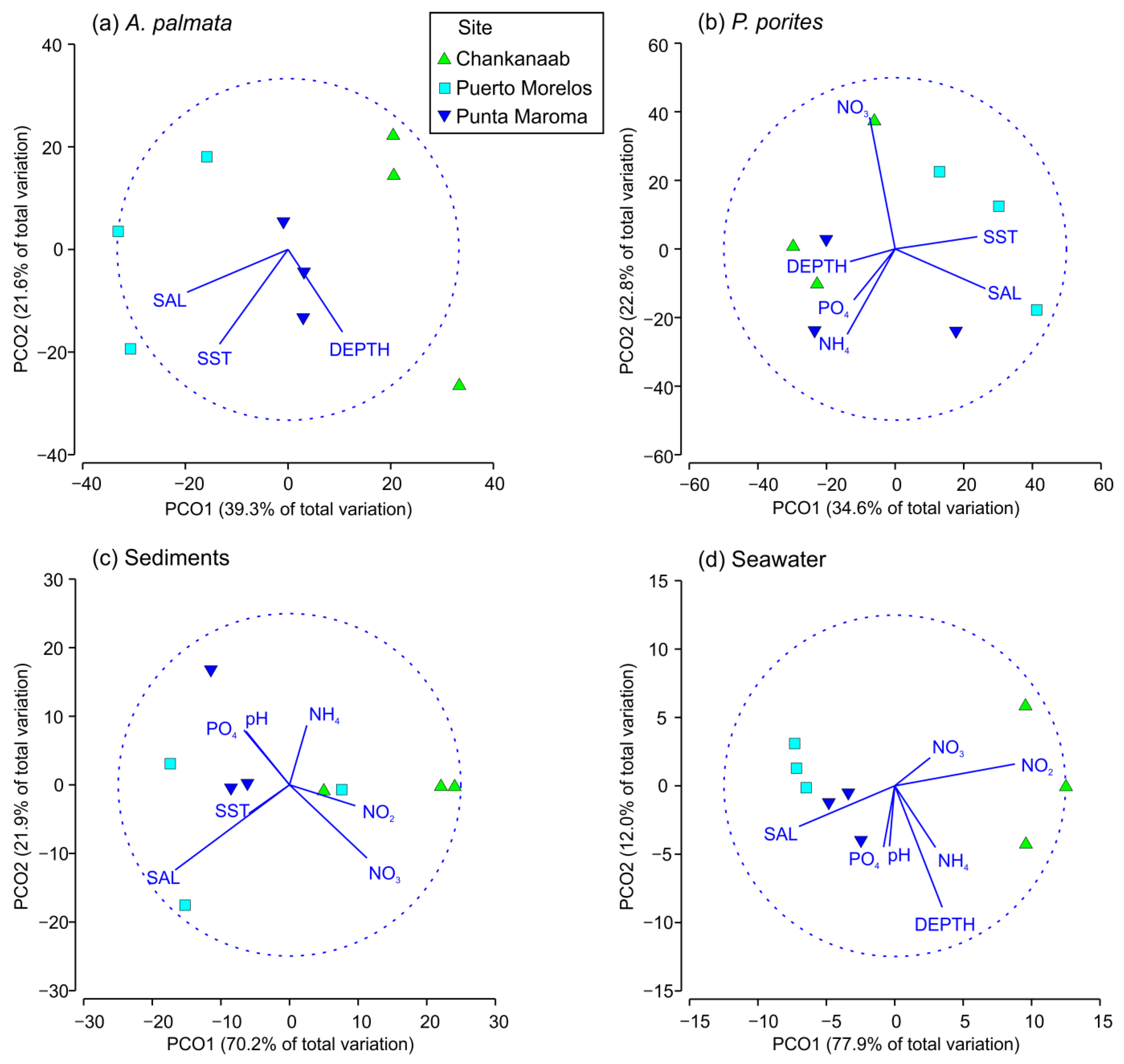 Diversity 15 00964 g005