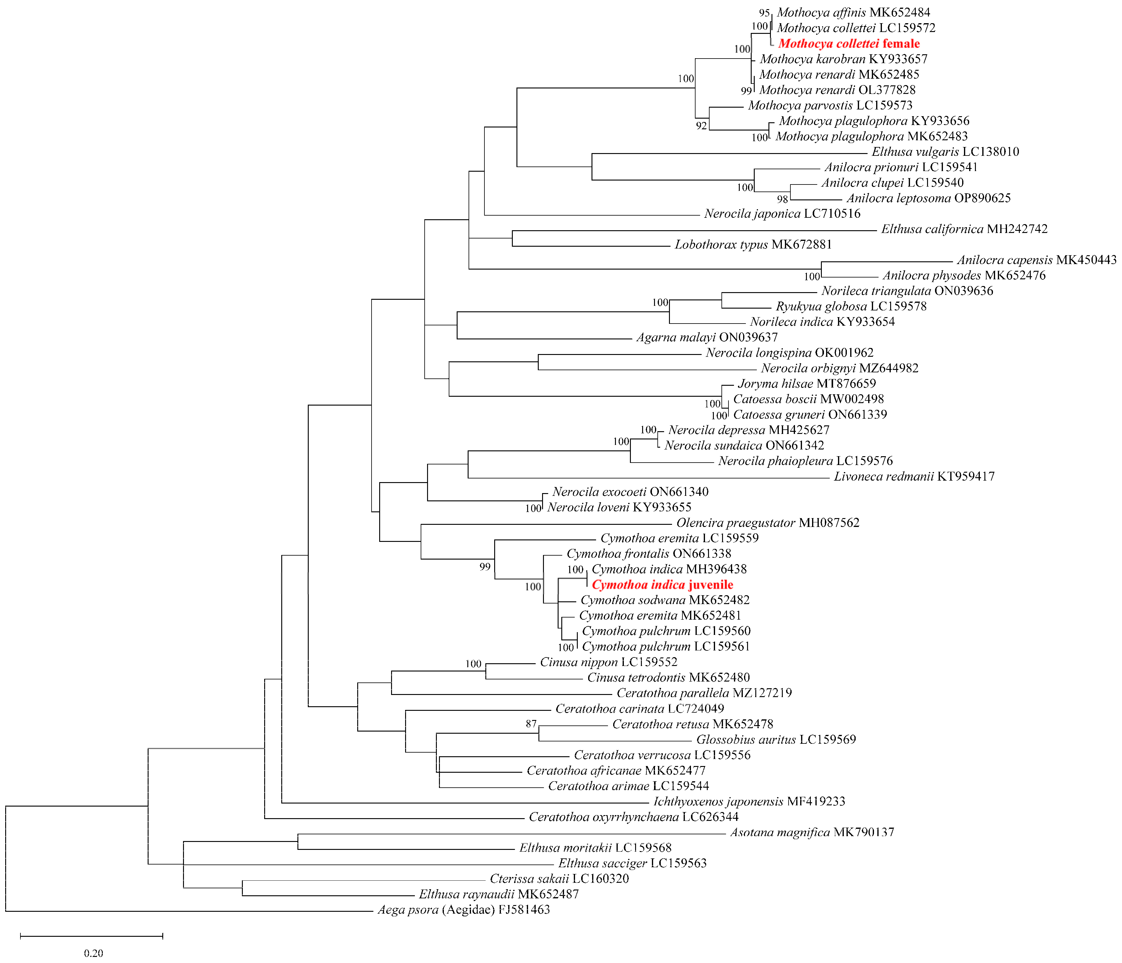 Diversity 15 00969 g001 Diversity 15 00969 g001