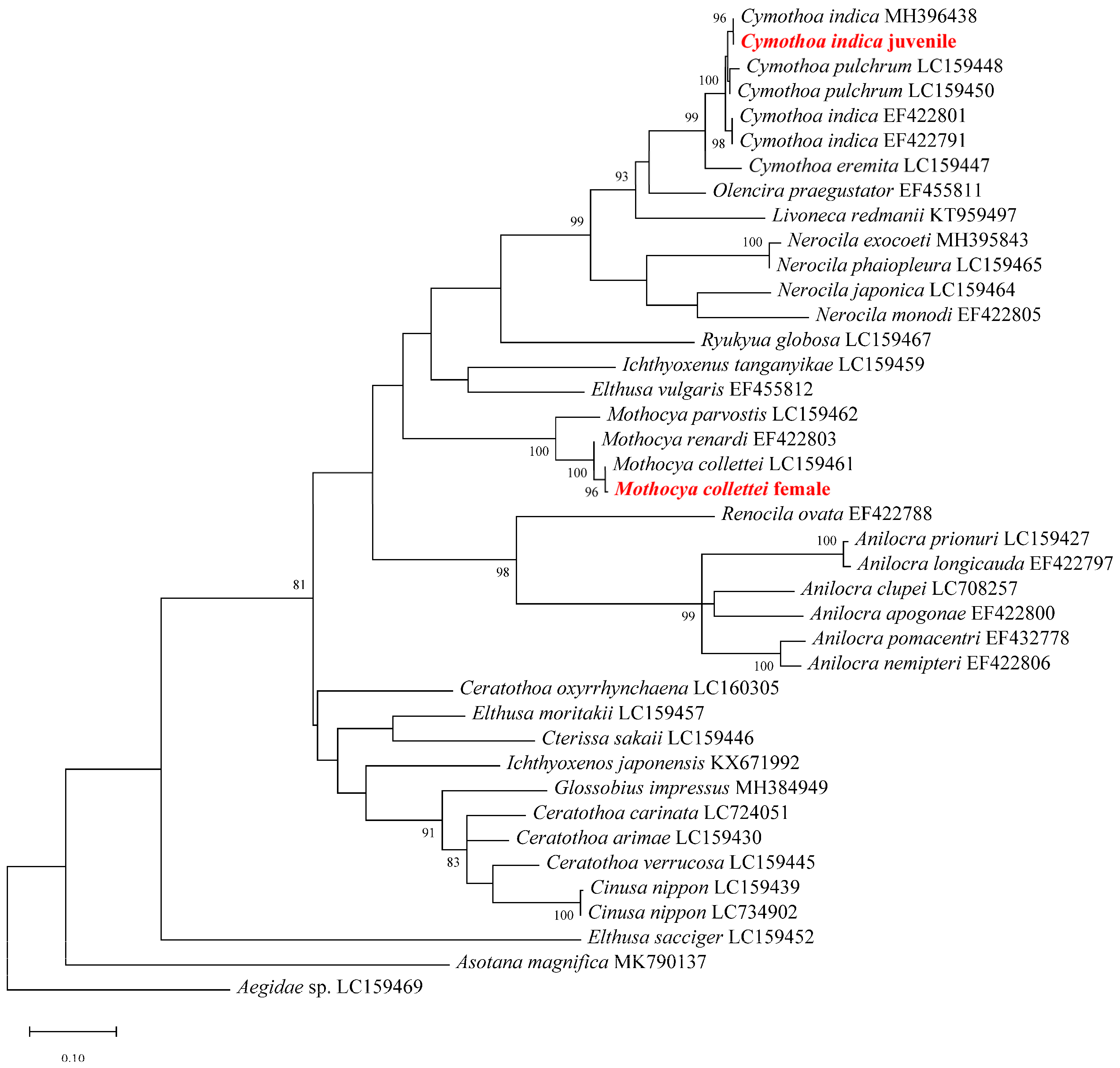 Diversity 15 00969 g002 Diversity 15 00969 g002
