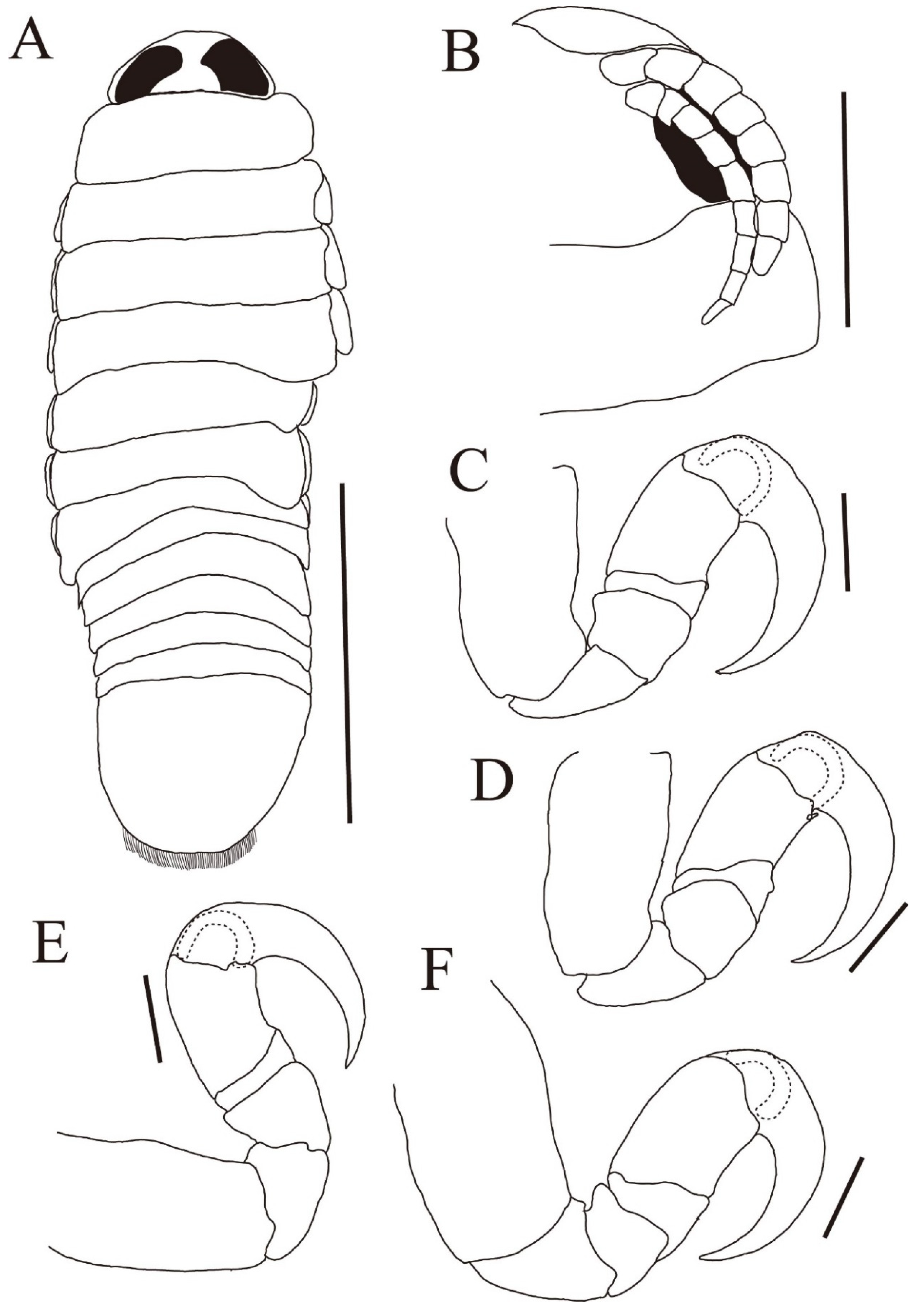 Diversity 15 00969 g004 Diversity 15 00969 g004