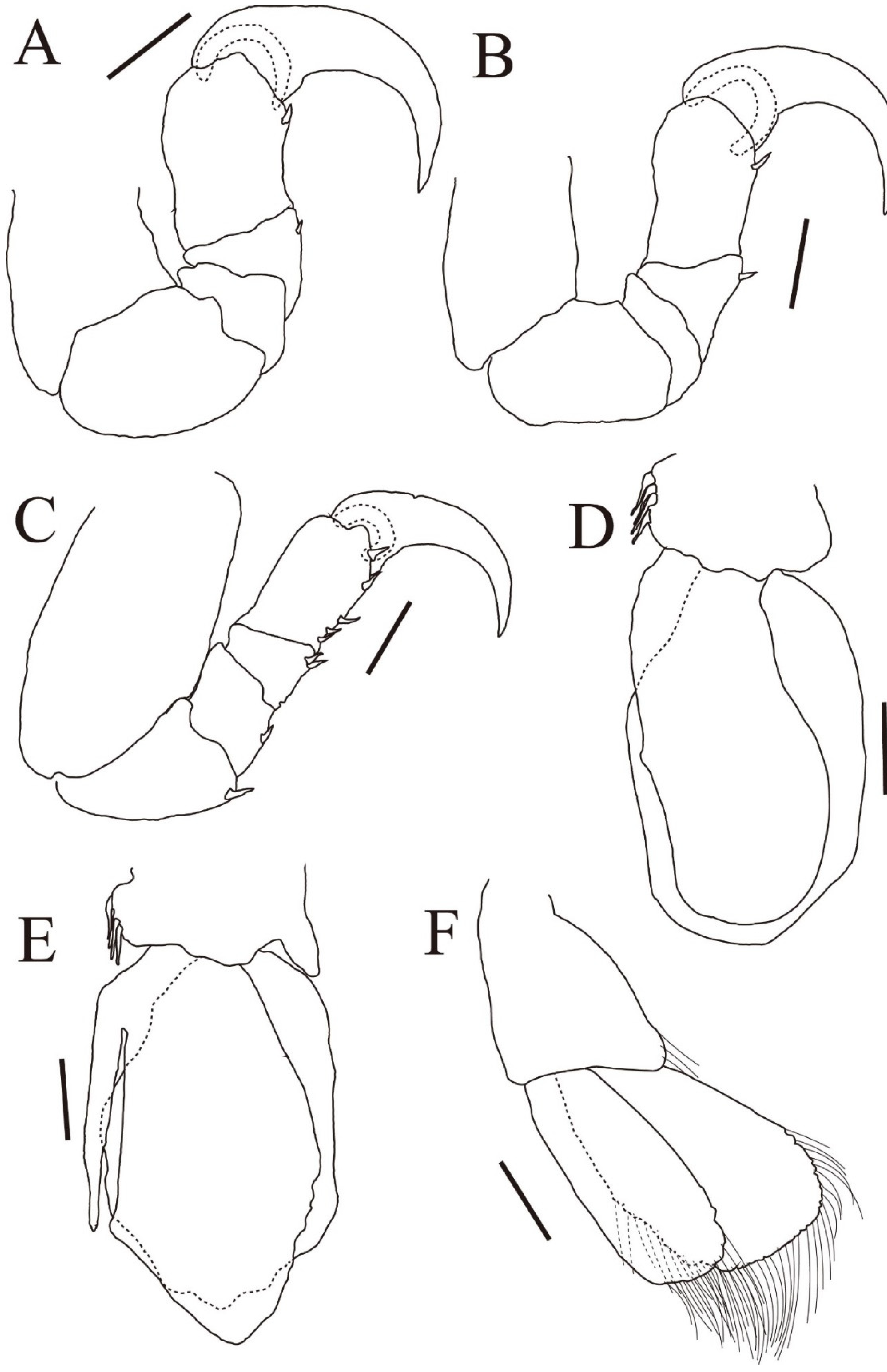 Diversity 15 00969 g005 Diversity 15 00969 g005