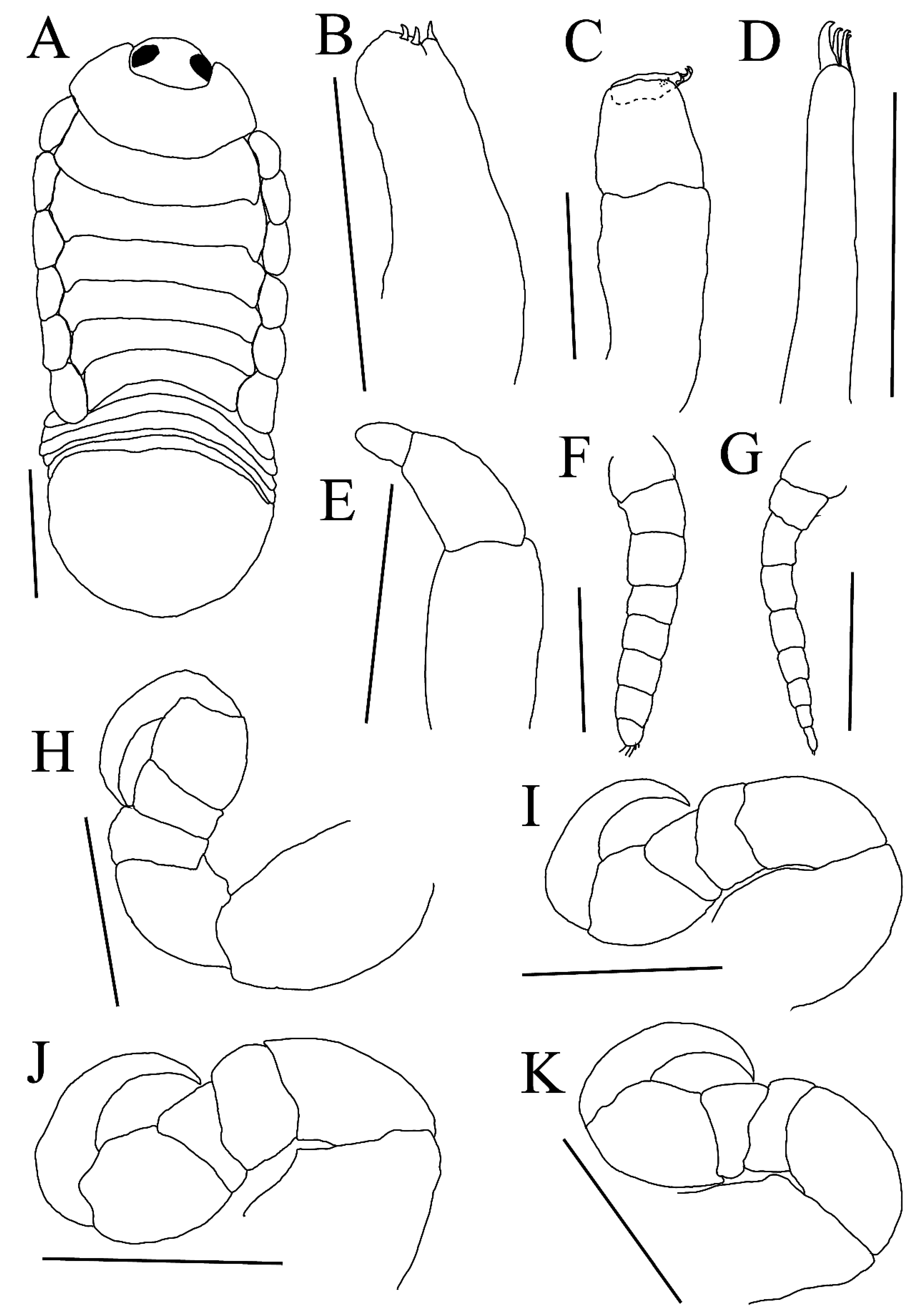 Diversity 15 00969 g007 Diversity 15 00969 g007