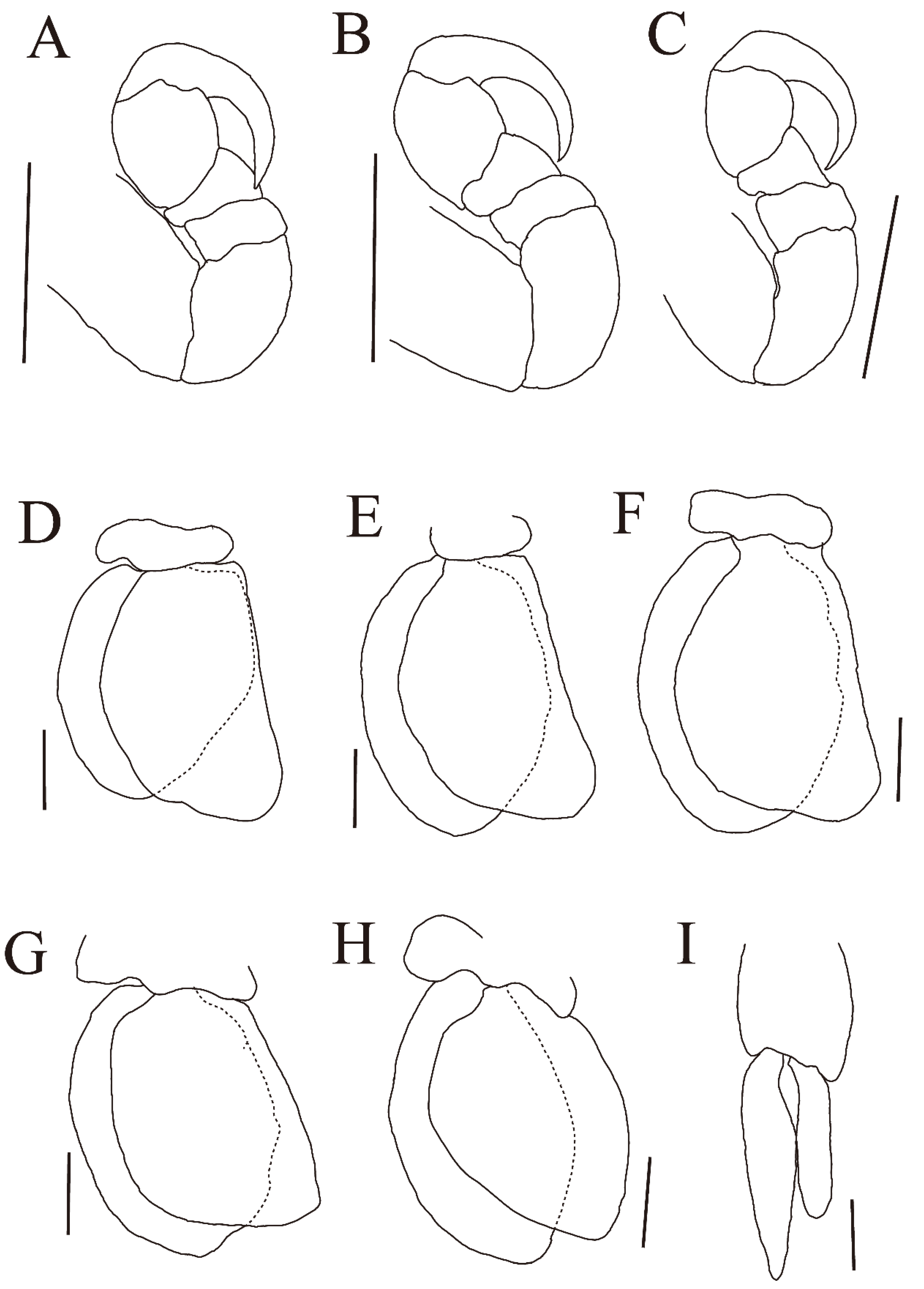 Diversity 15 00969 g008 Diversity 15 00969 g008
