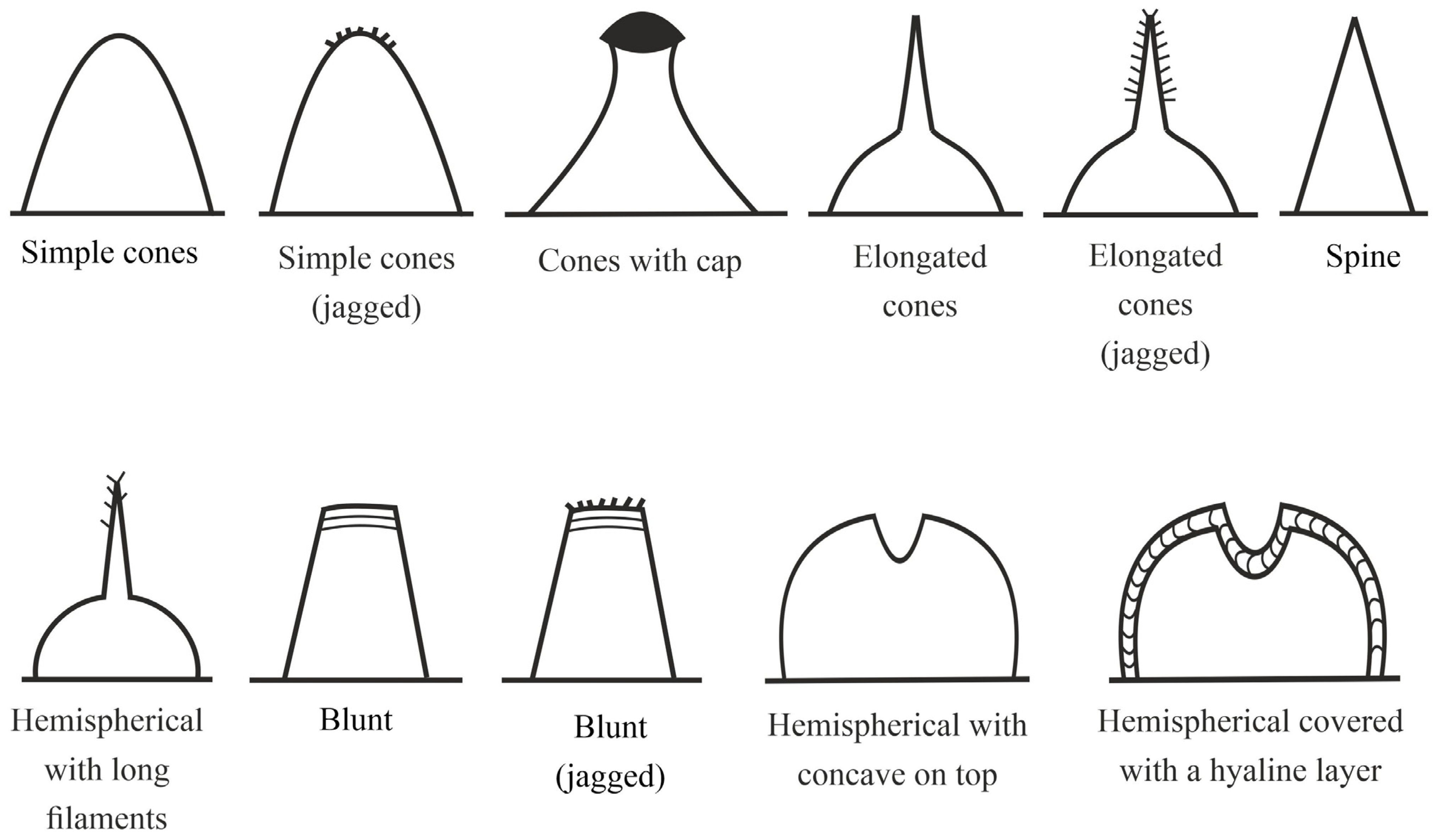 Diversity 15 00977 g001