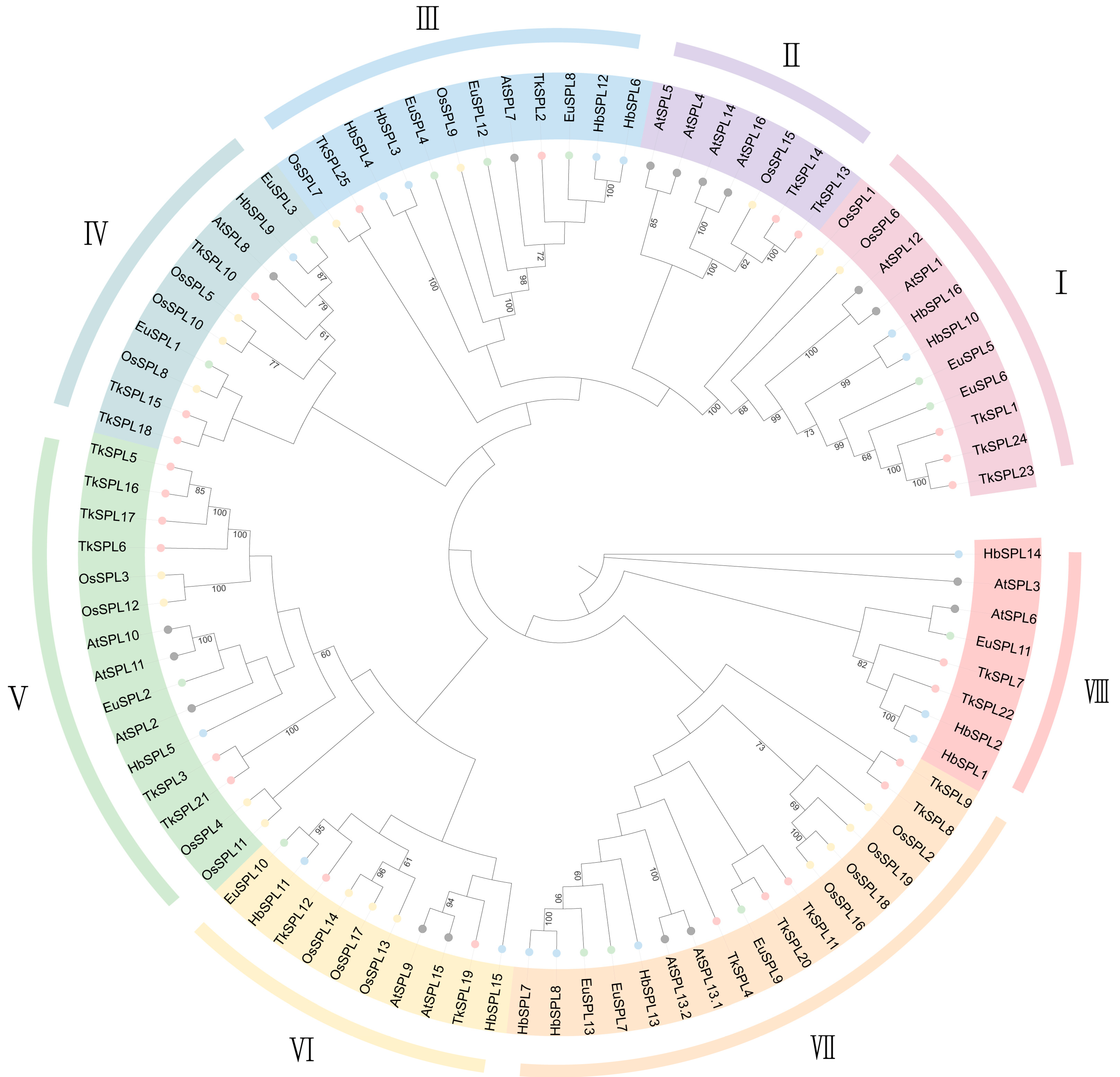 Diversity 15 00983 g001