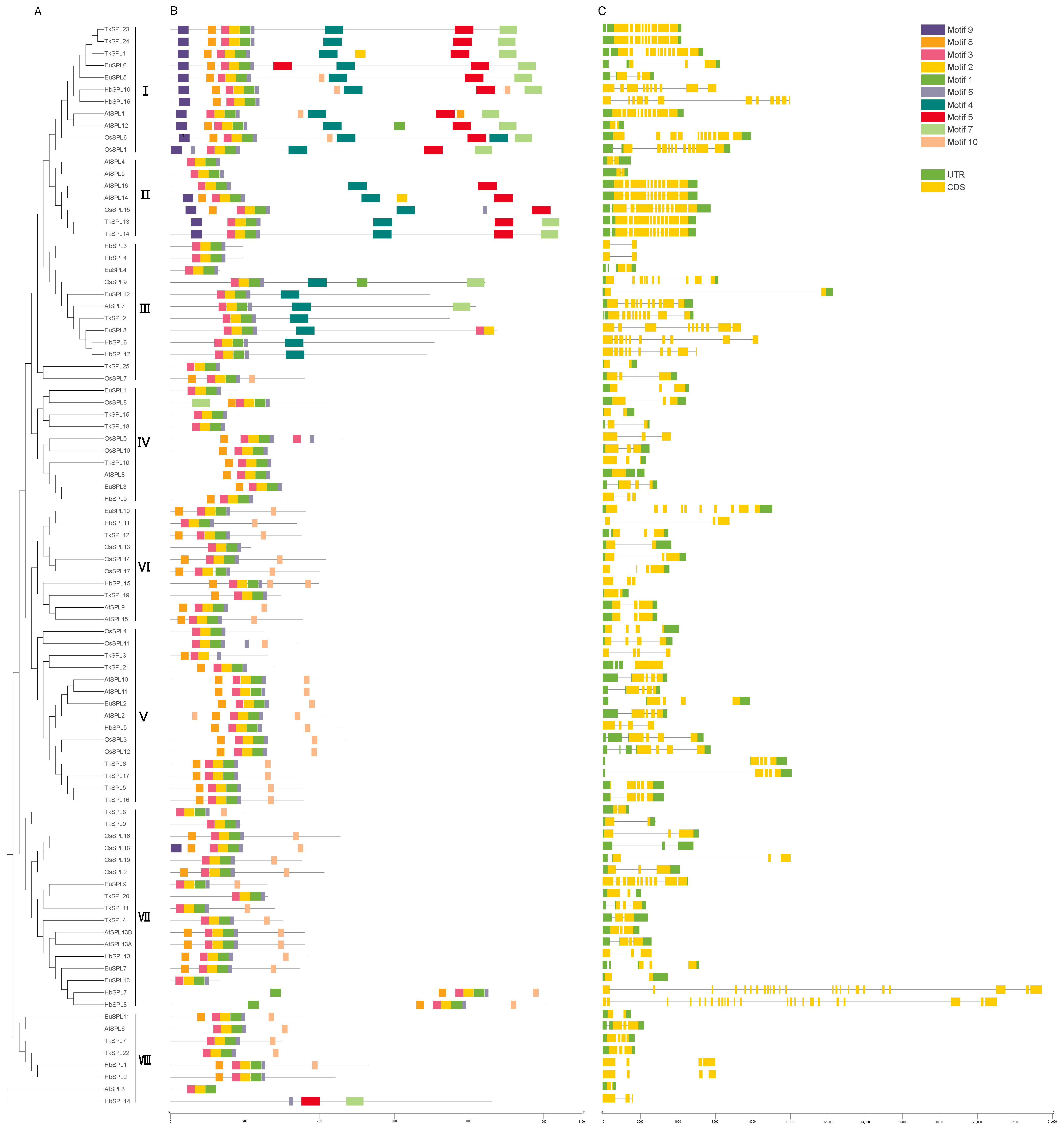 Diversity 15 00983 g002