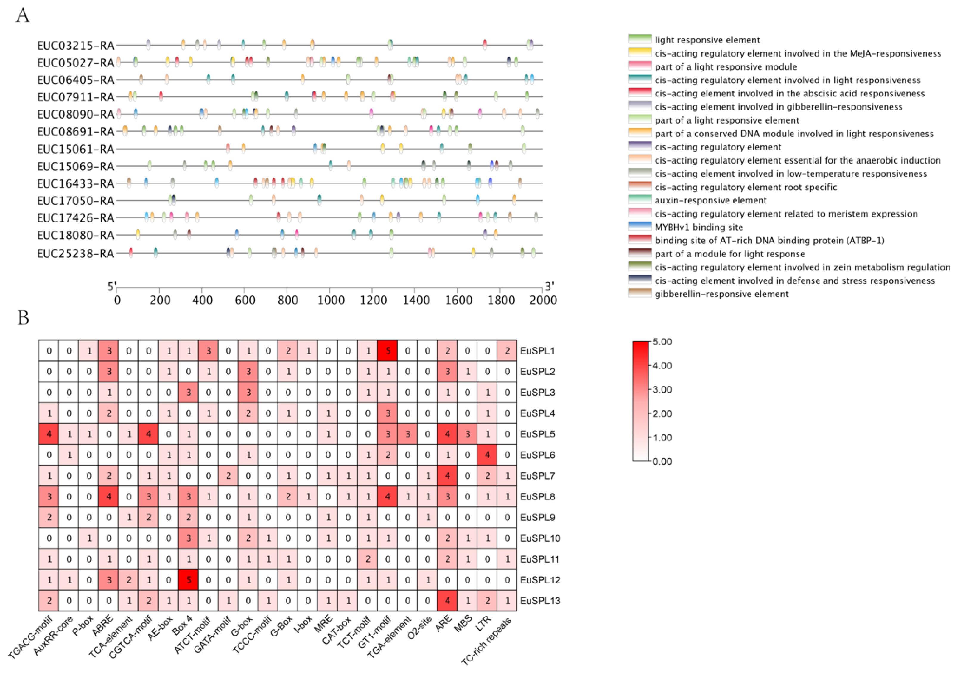 Diversity 15 00983 g004