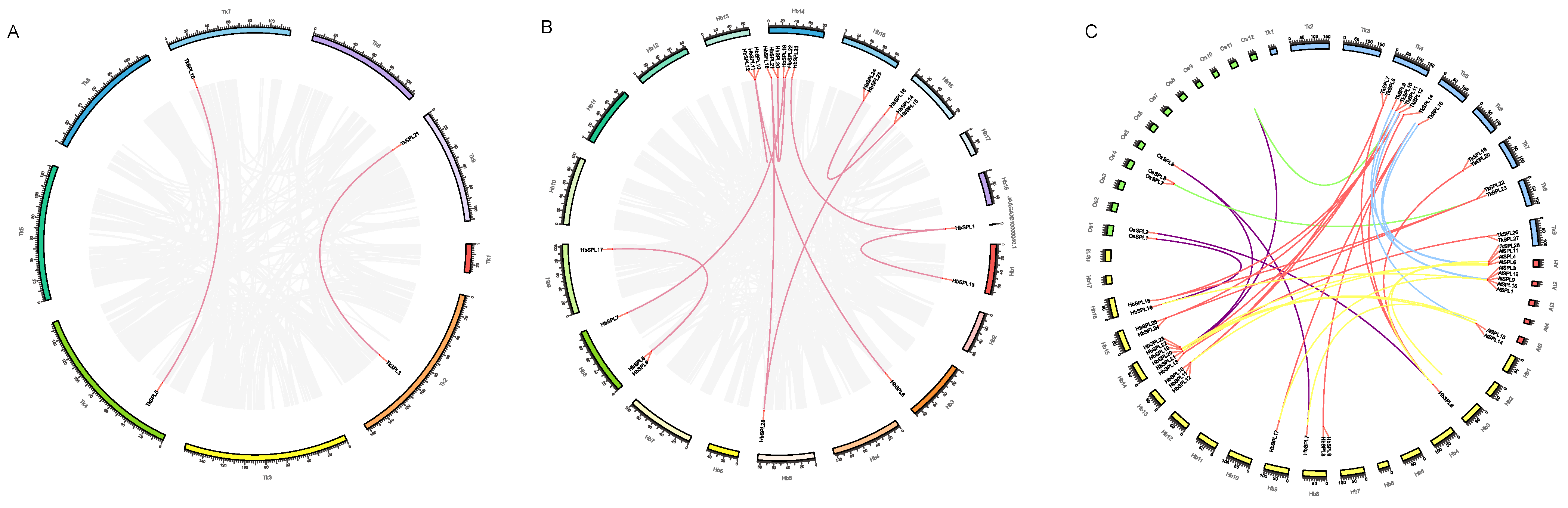Diversity 15 00983 g005