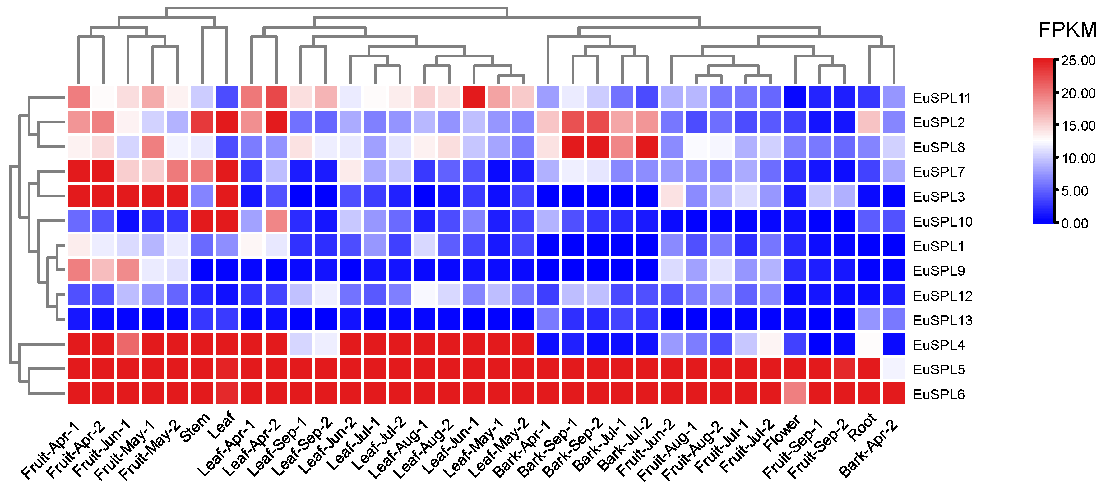 Diversity 15 00983 g006