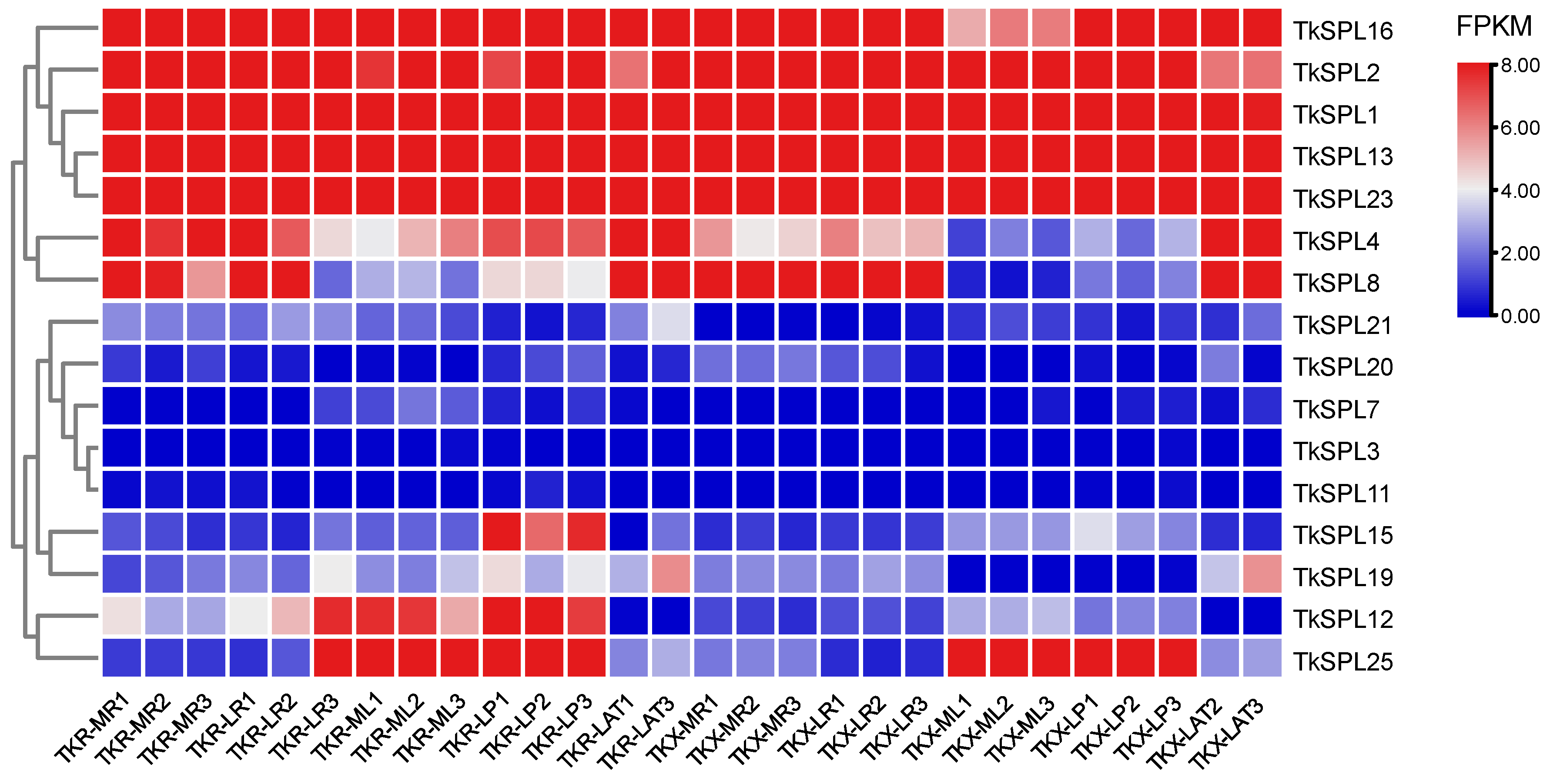 Diversity 15 00983 g007