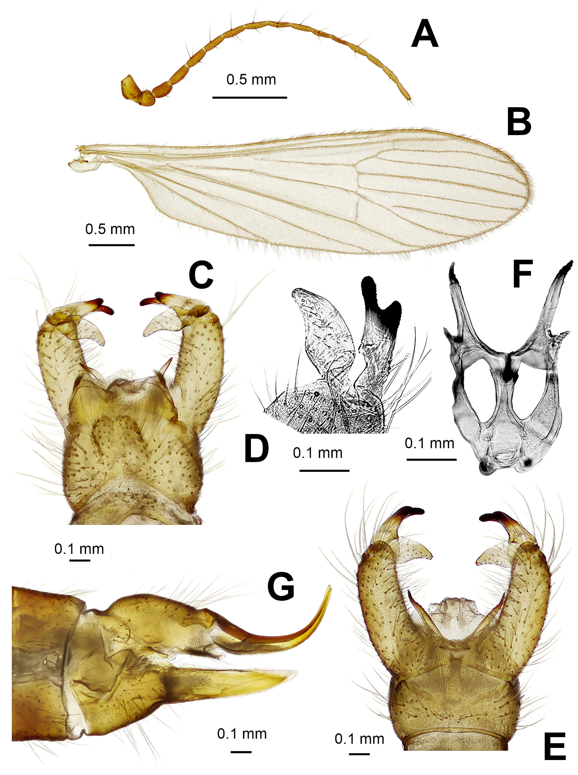 Diversity 15 00988 g002