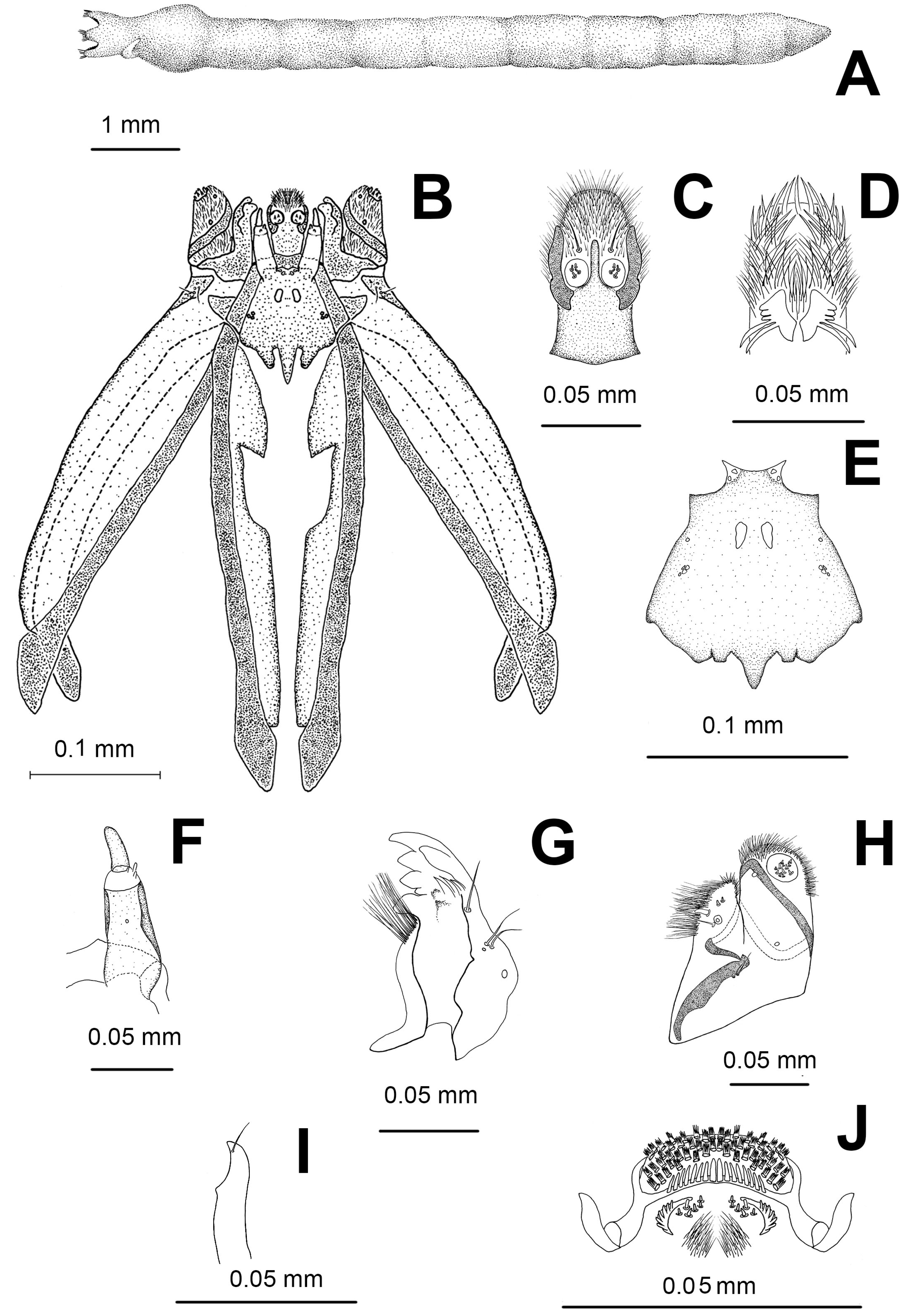 Diversity 15 00988 g003