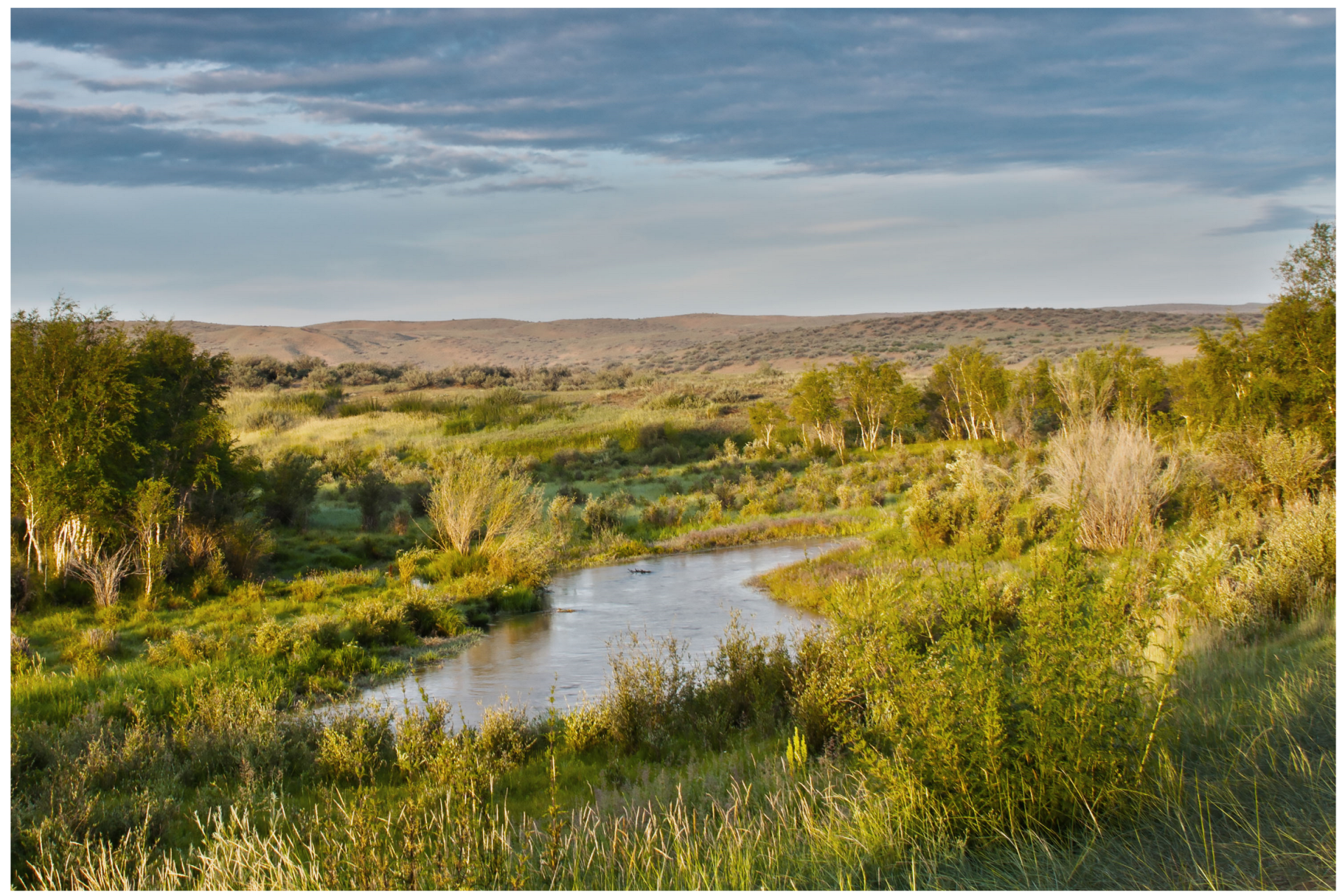 Diversity 15 00988 g005