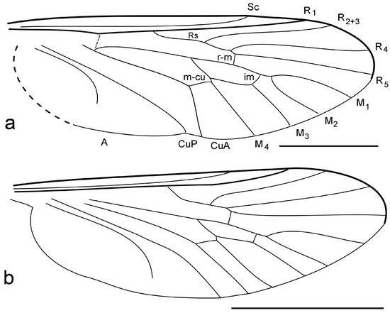 Diversity 15 00989 g002