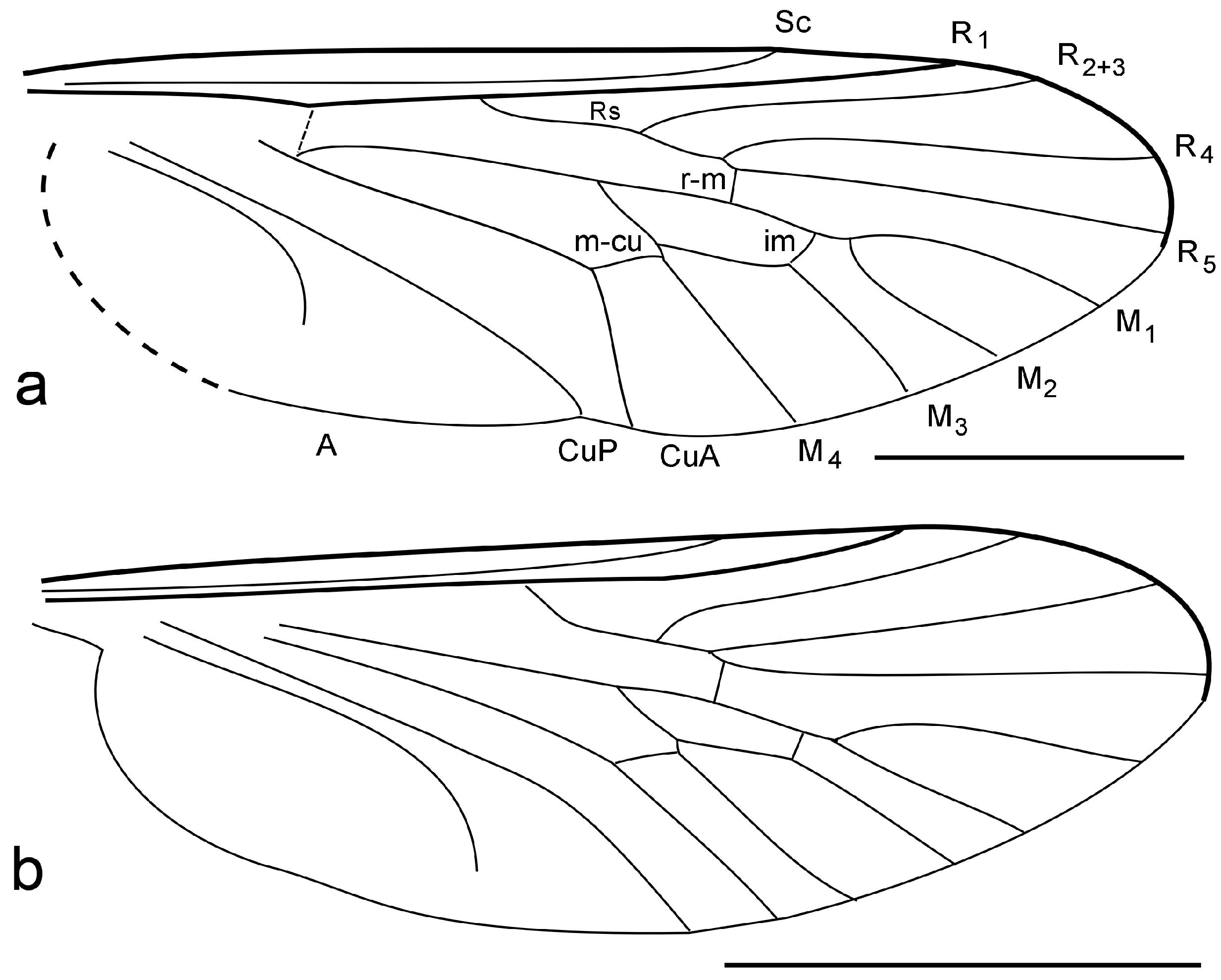 Diversity 15 00989 g002