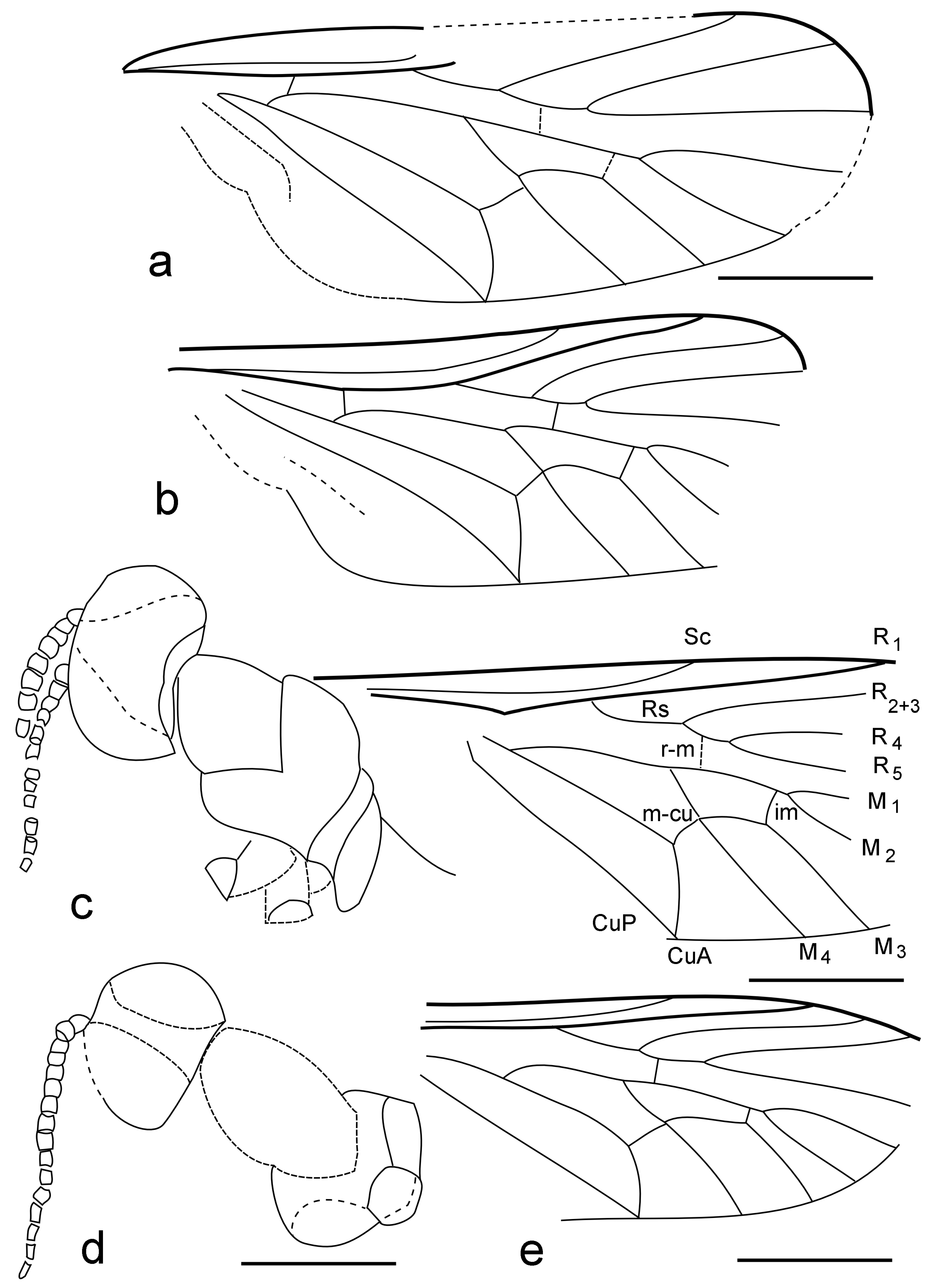 Diversity 15 00989 g007