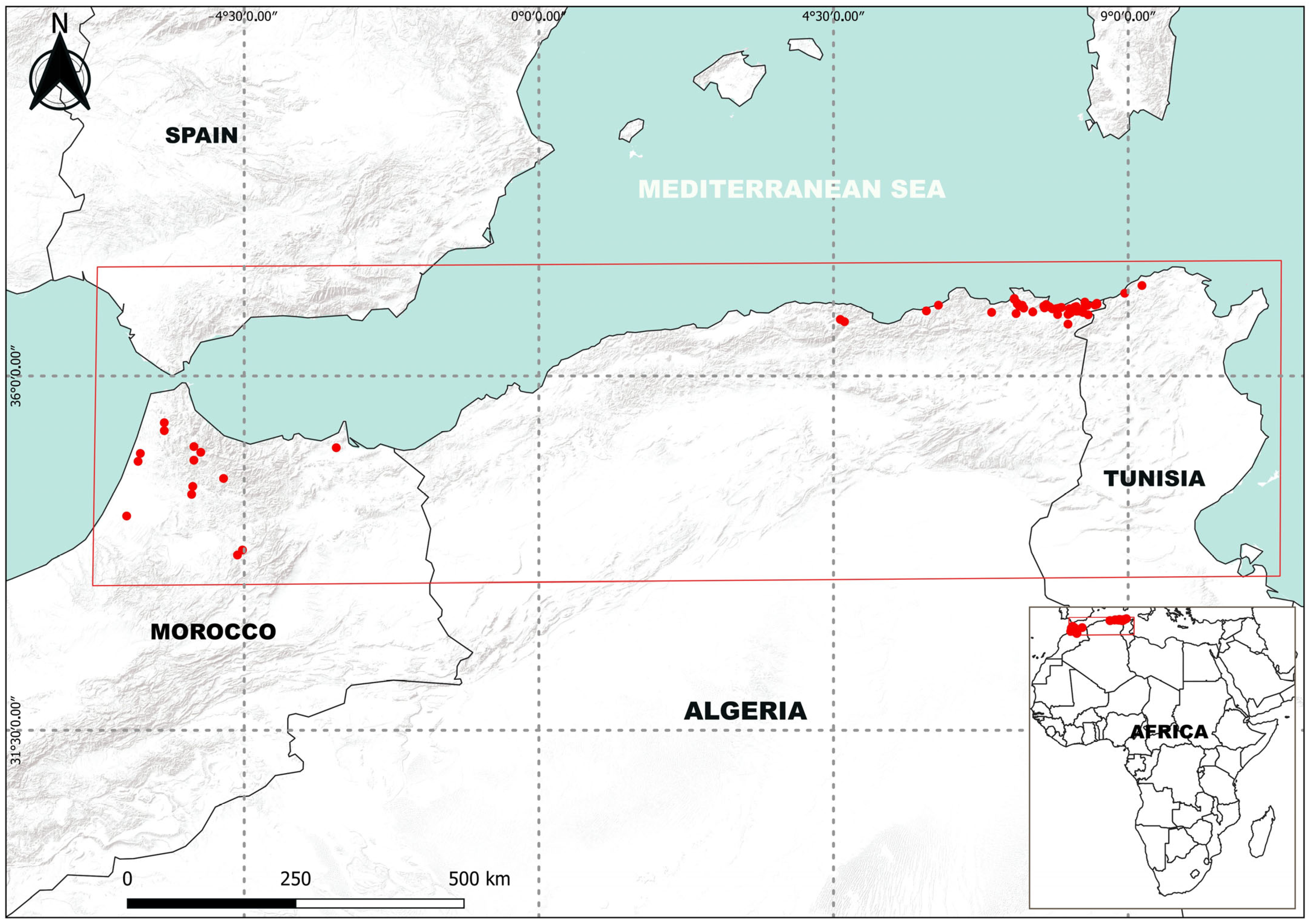 Diversity 15 00993 g004 Diversity 15 00993 g004