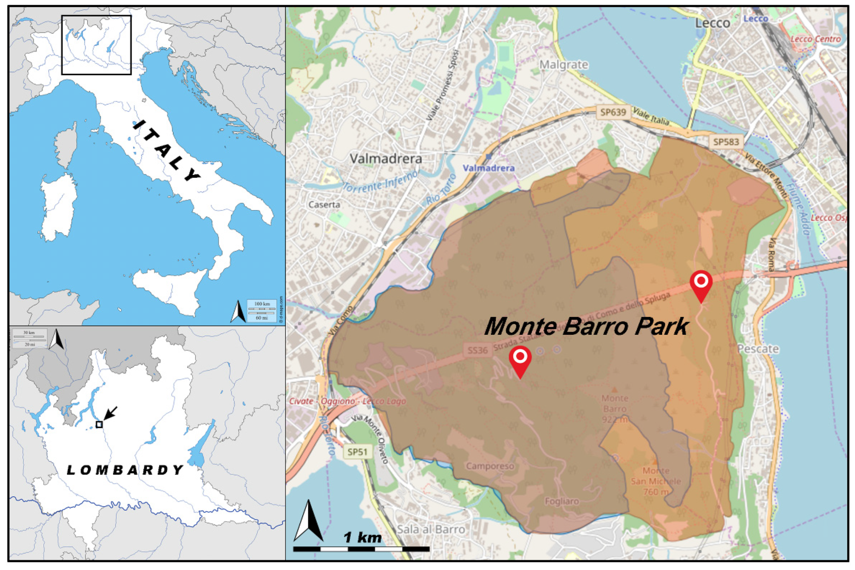 Diversity 15 00999 g001