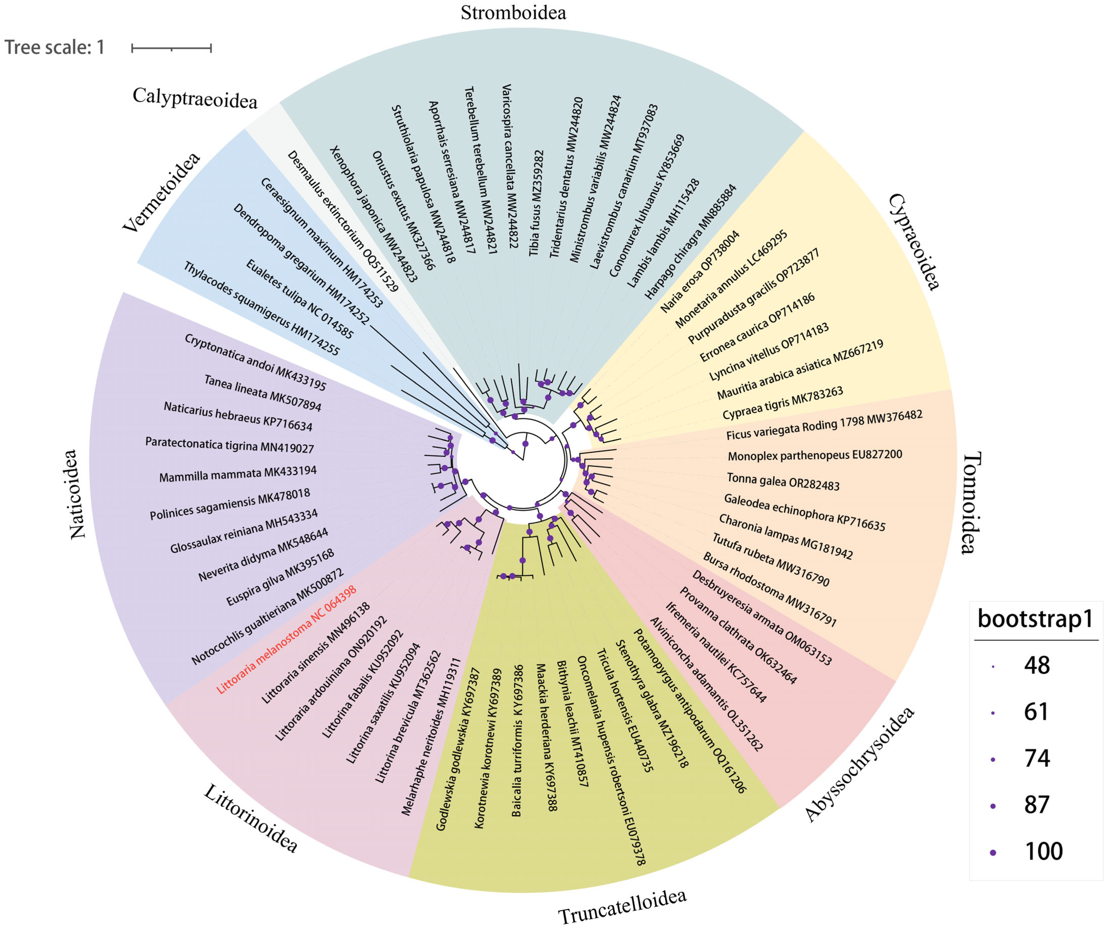 Diversity 15 01005 g004