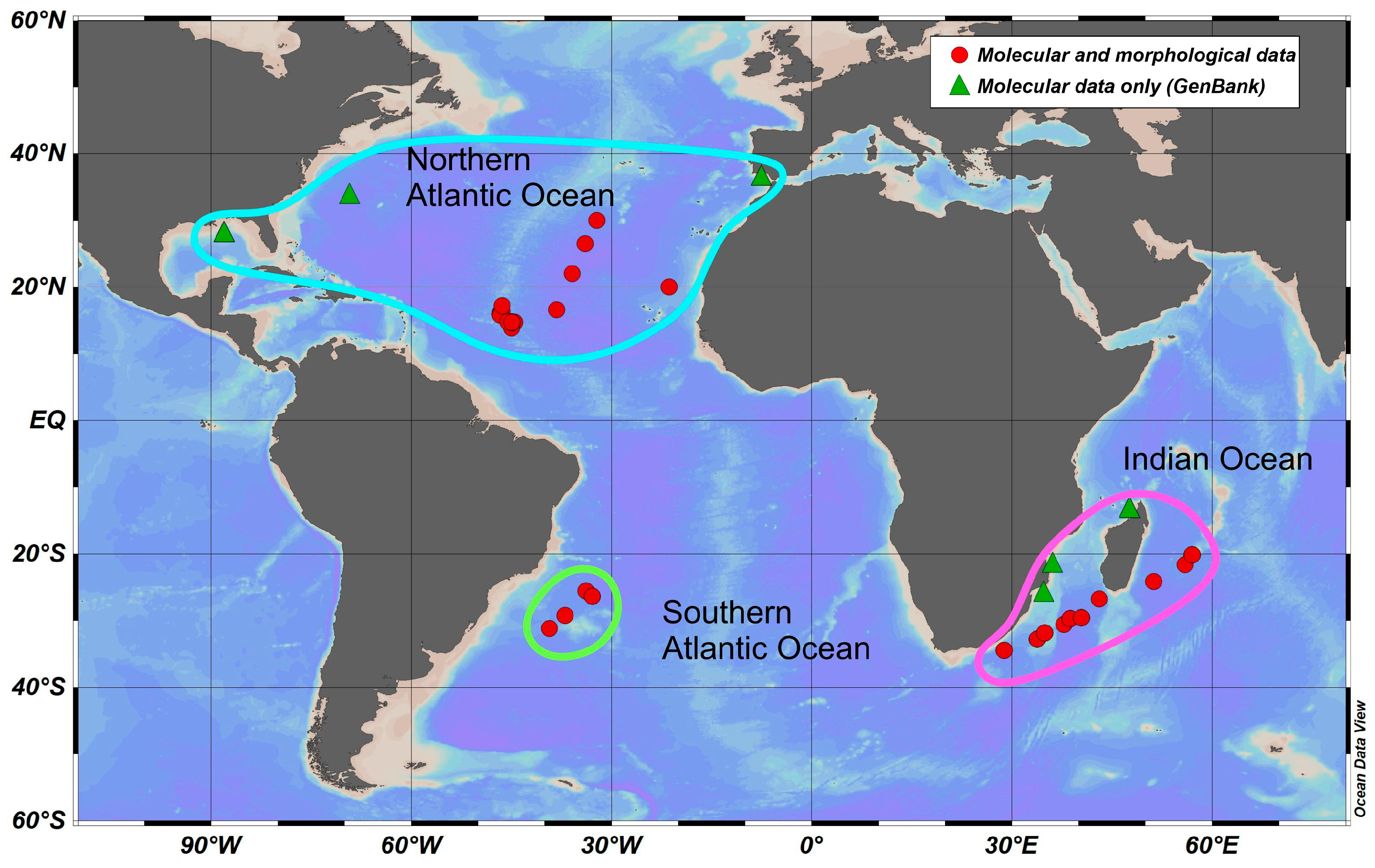 Diversity 15 01008 g001