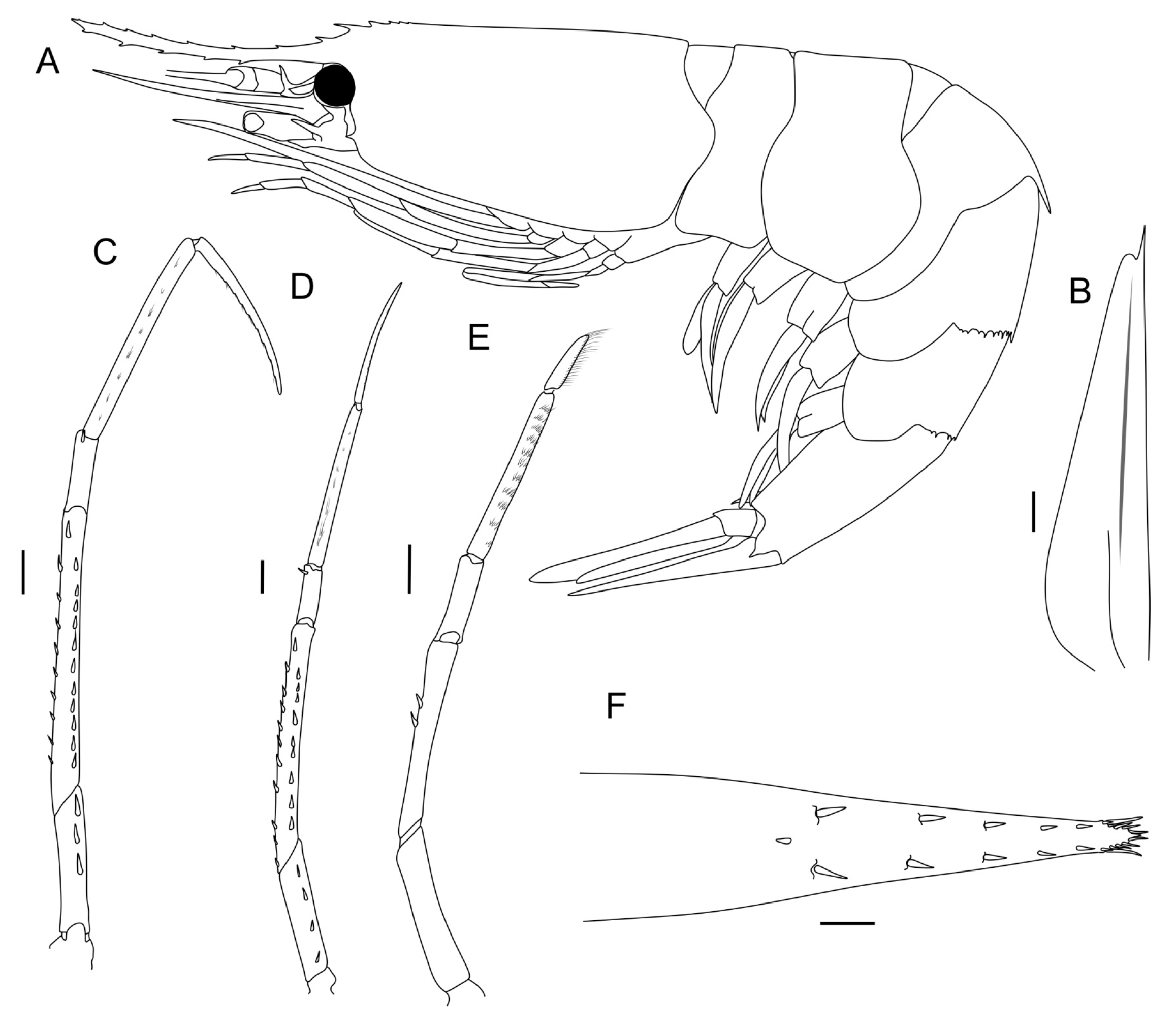 Diversity 15 01008 g002