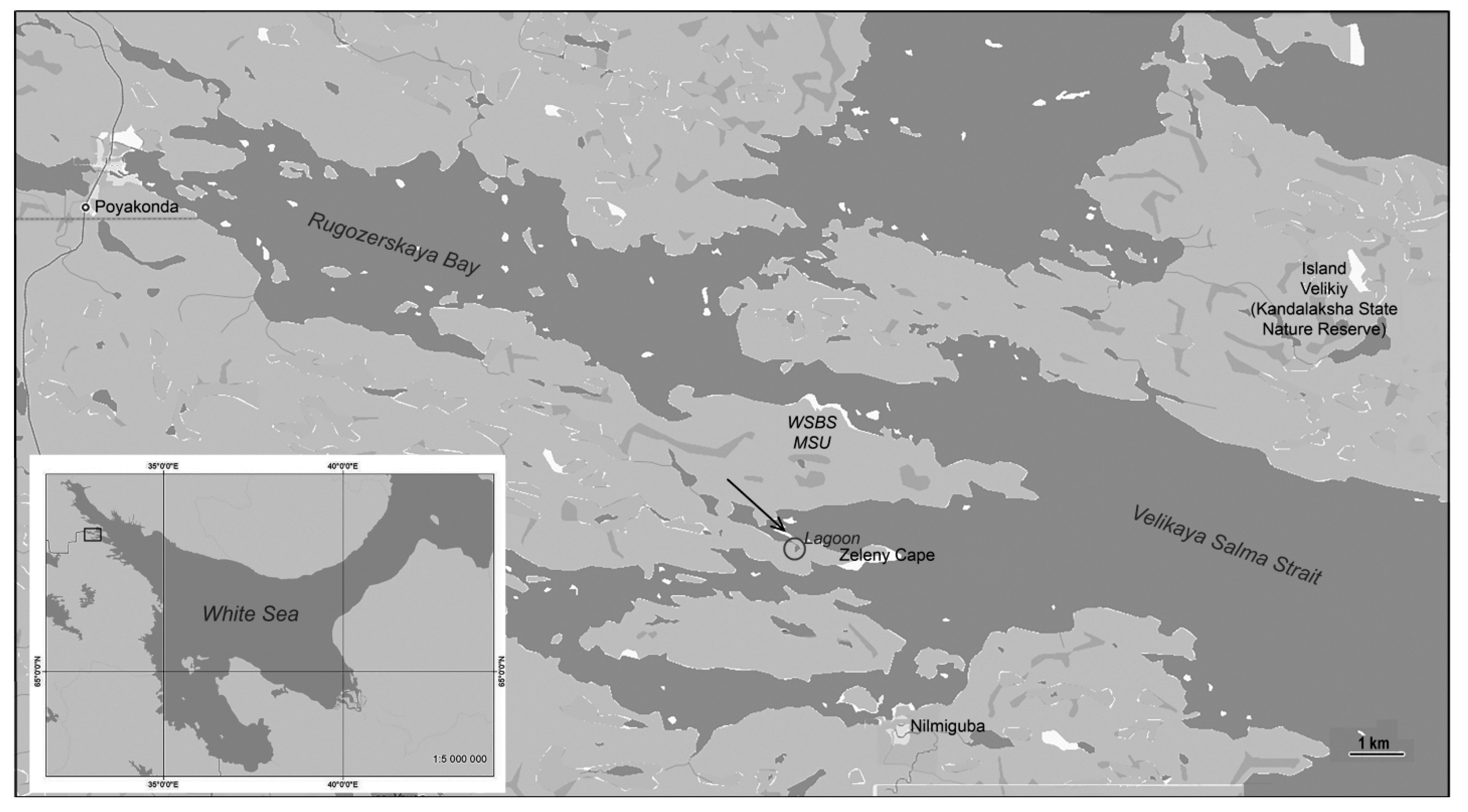 Diversity 15 01009 g001